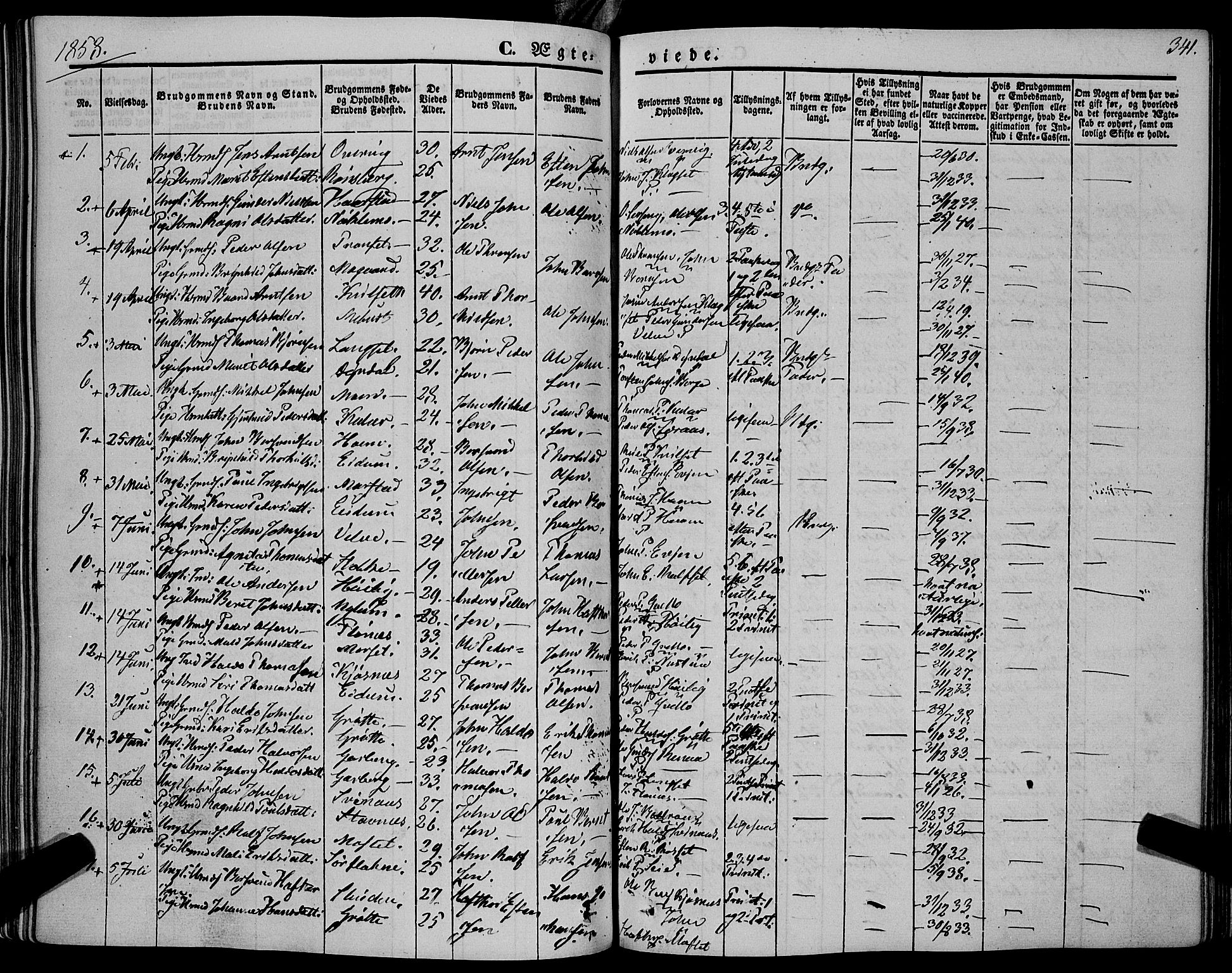 Ministerialprotokoller, klokkerbøker og fødselsregistre - Sør-Trøndelag, SAT/A-1456/695/L1145: Parish register (official) no. 695A06 /1, 1843-1859, p. 341