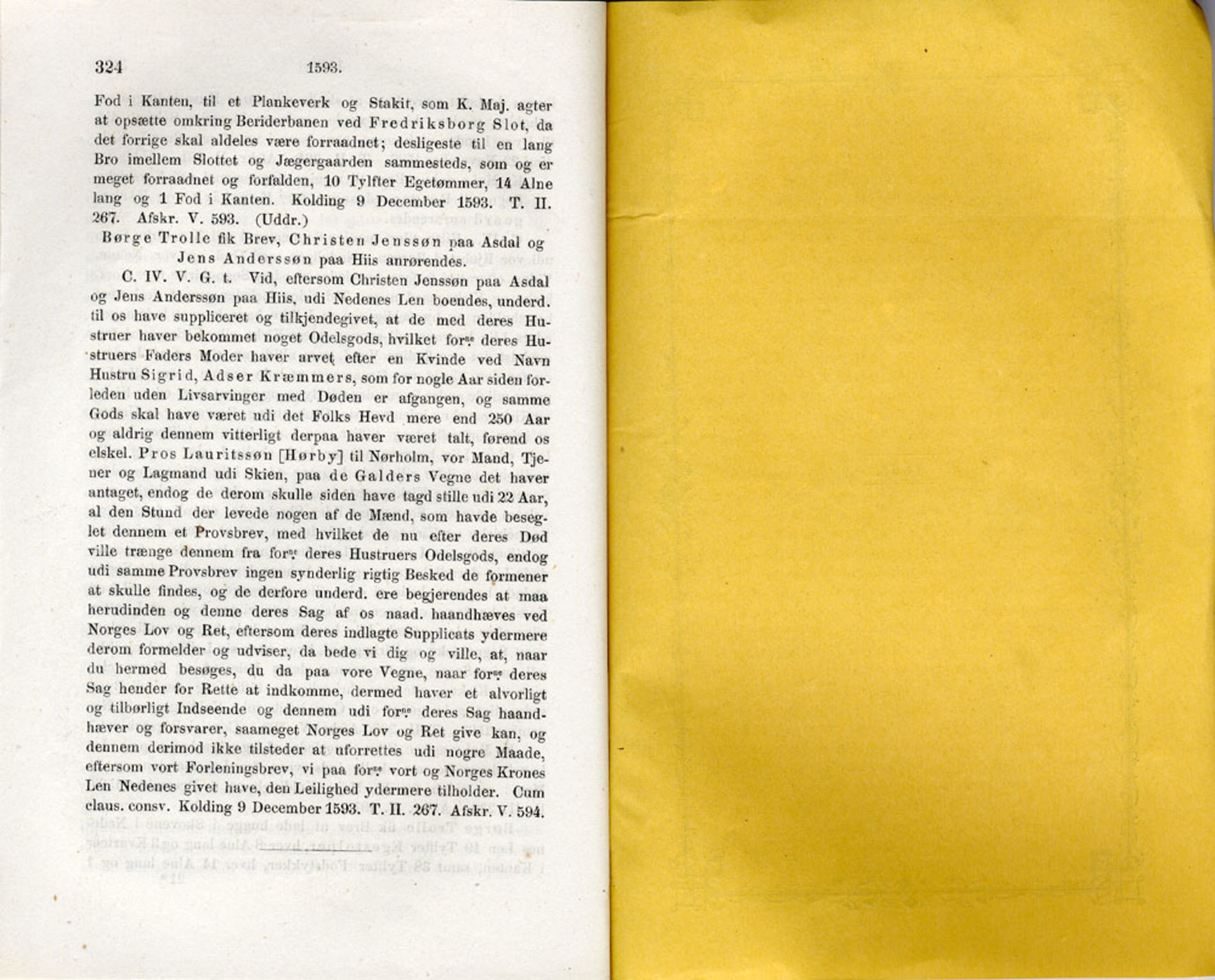 Publikasjoner utgitt av Det Norske Historiske Kildeskriftfond, PUBL/-/-/-: Norske Rigs-Registranter, bind 3, 1588-1602, p. 324