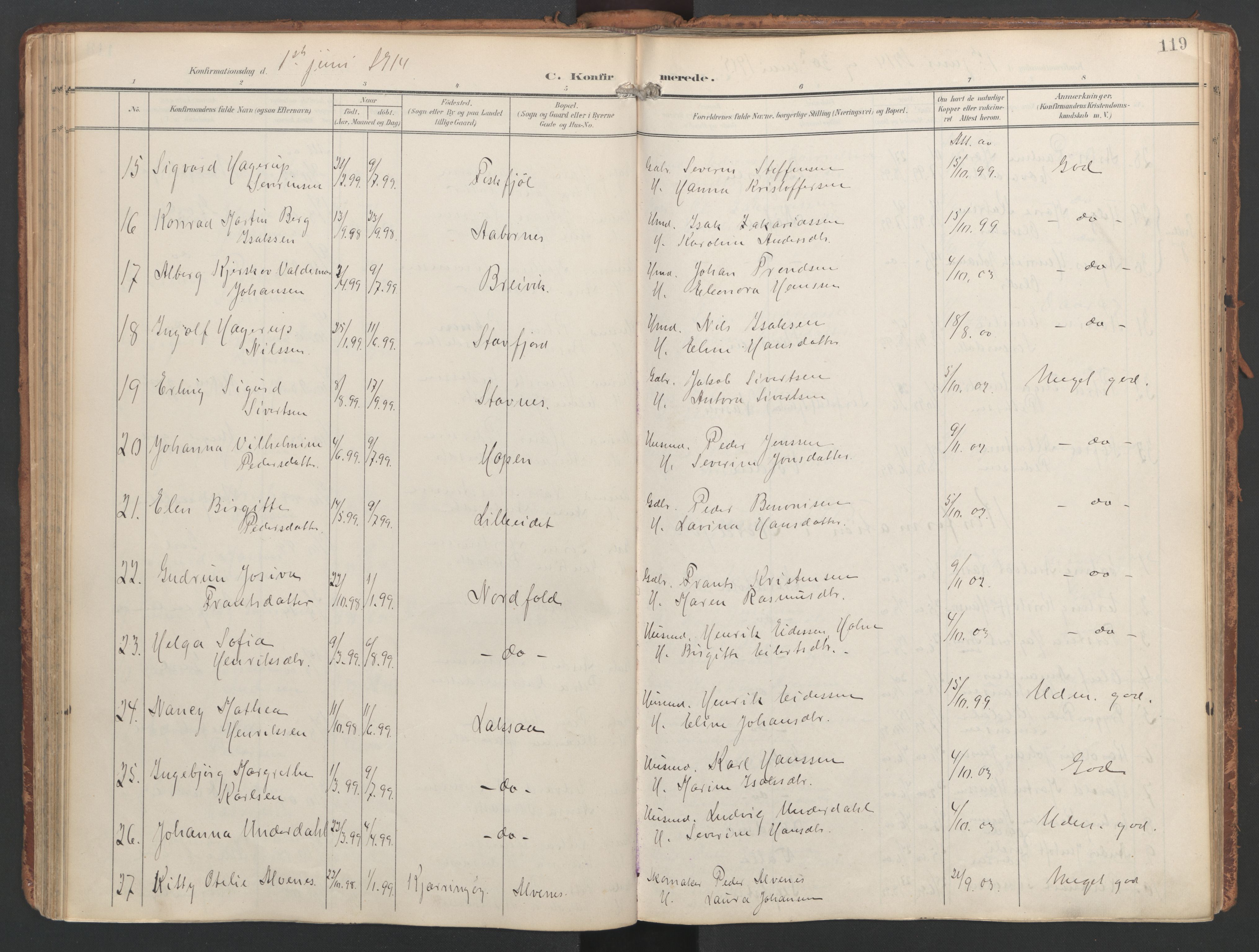 Ministerialprotokoller, klokkerbøker og fødselsregistre - Nordland, AV/SAT-A-1459/858/L0832: Parish register (official) no. 858A02, 1902-1915, p. 119