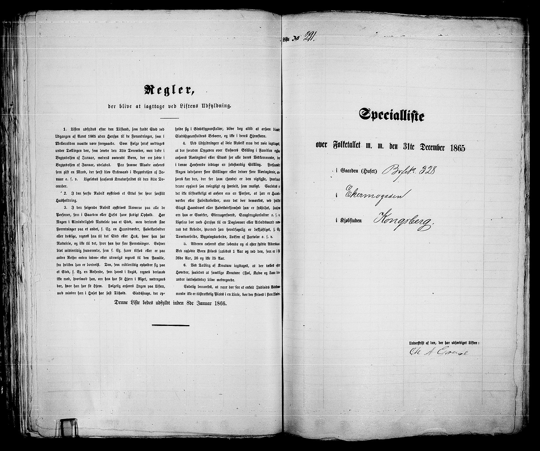 RA, 1865 census for Kongsberg/Kongsberg, 1865, p. 601