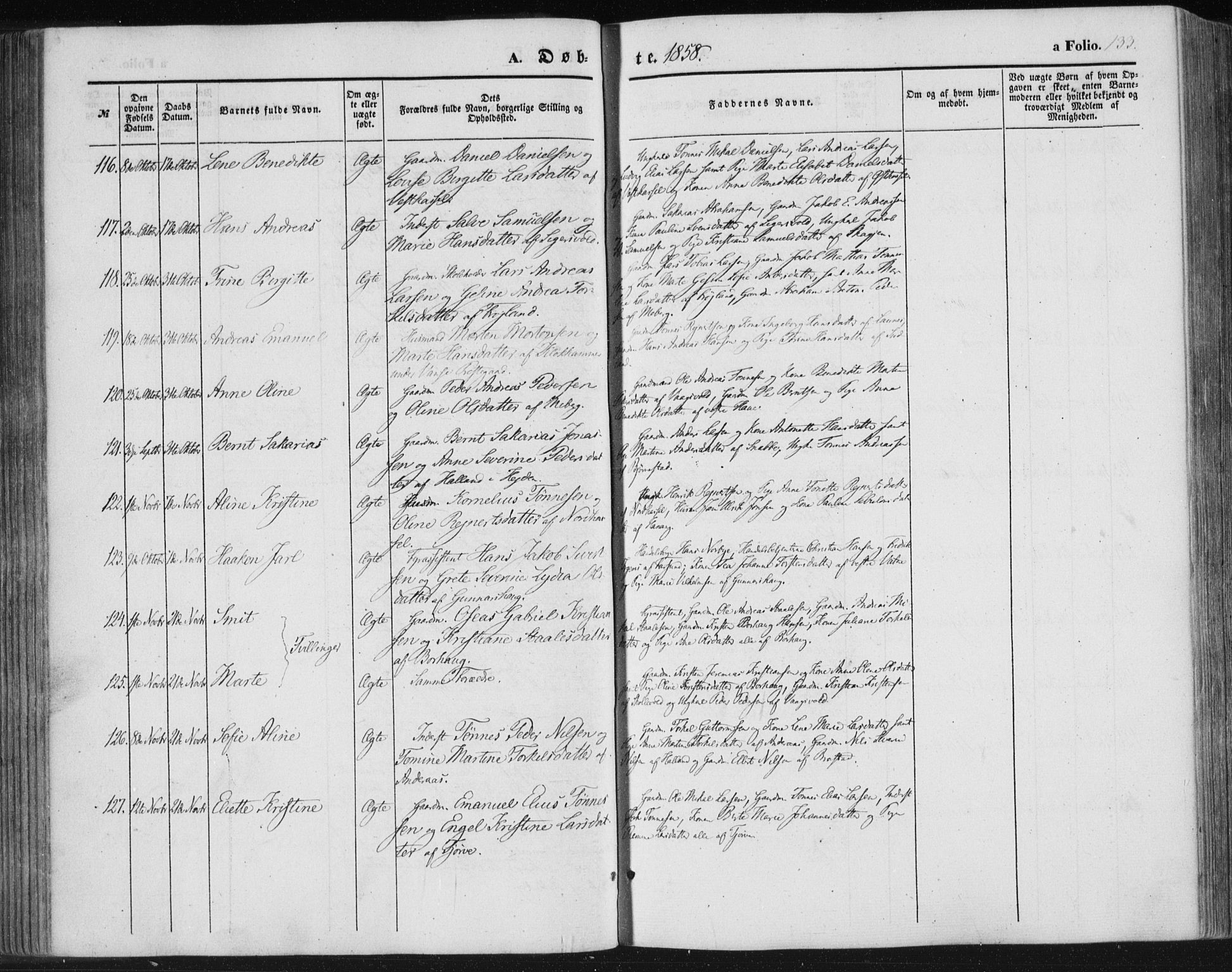 Lista sokneprestkontor, SAK/1111-0027/F/Fa/L0010: Parish register (official) no. A 10, 1846-1861, p. 133