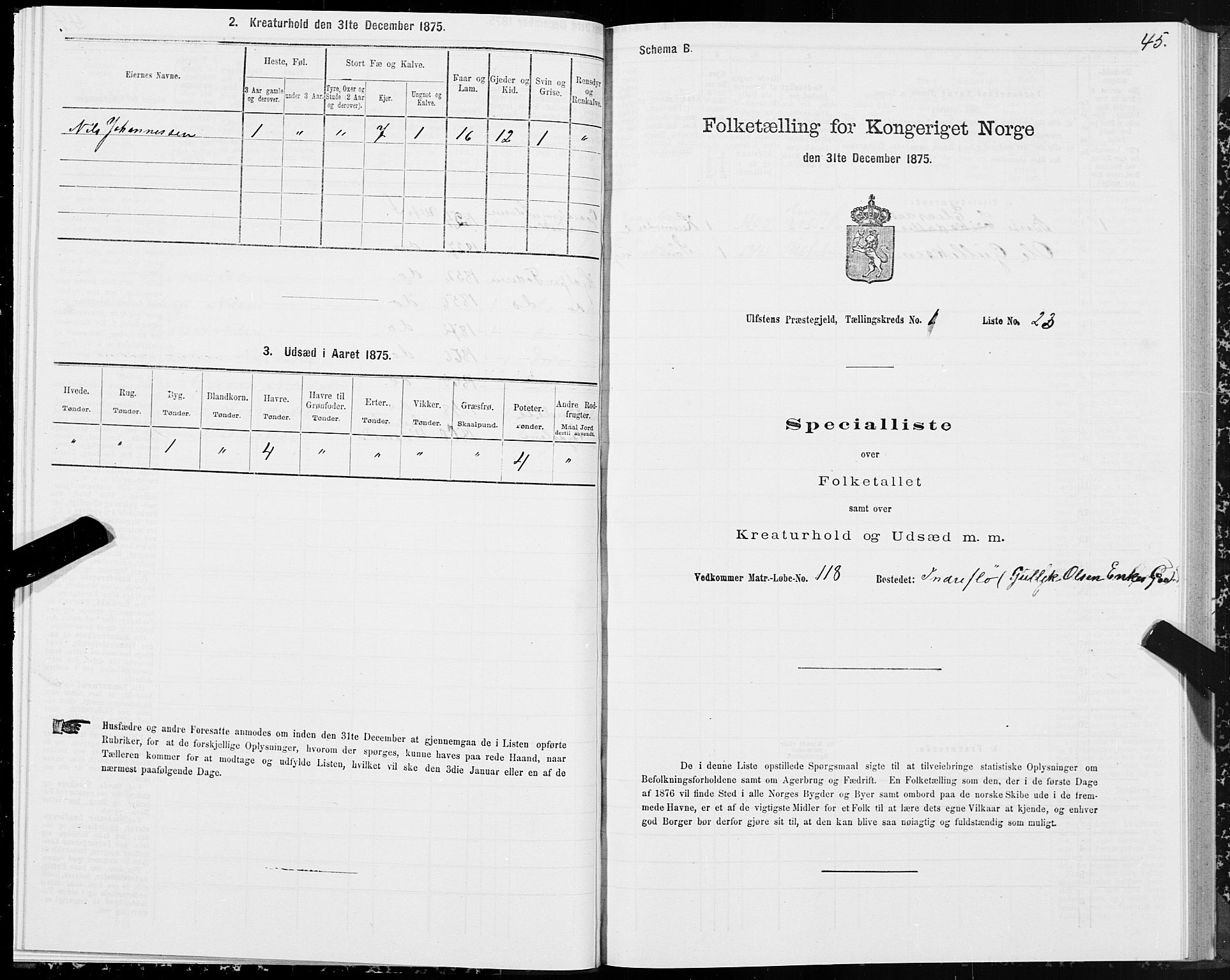 SAT, 1875 census for 1516P Ulstein, 1875, p. 1045