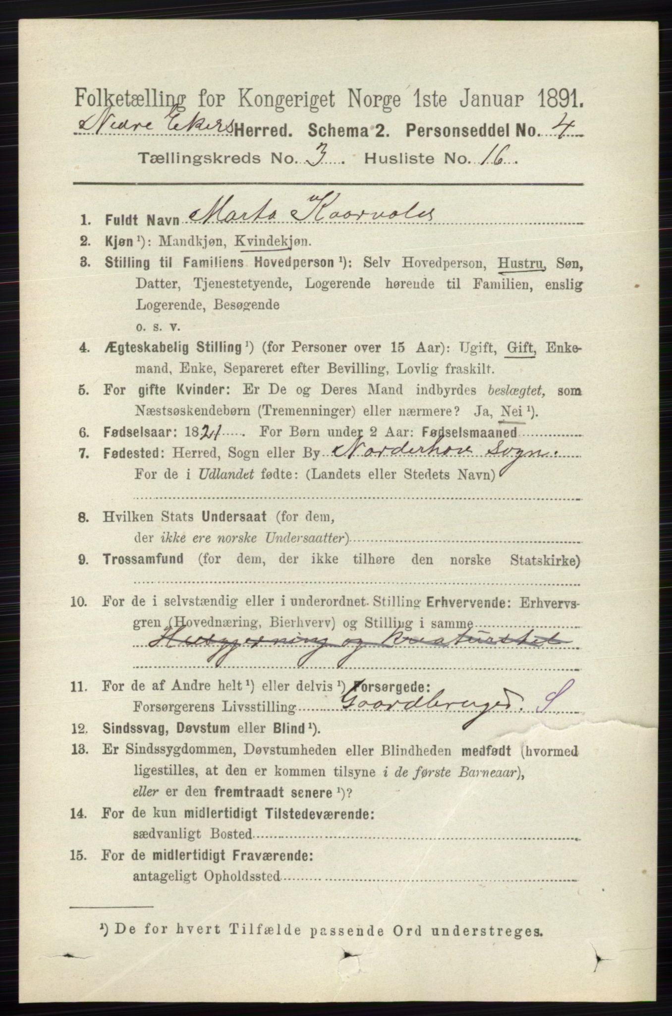 RA, 1891 census for 0625 Nedre Eiker, 1891, p. 1265