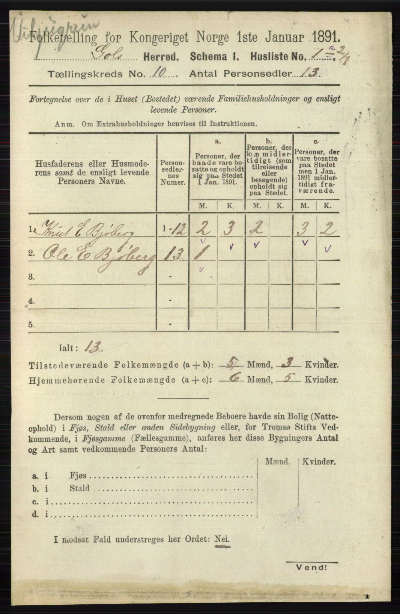 RA, 1891 census for 0617 Gol og Hemsedal, 1891, p. 3980