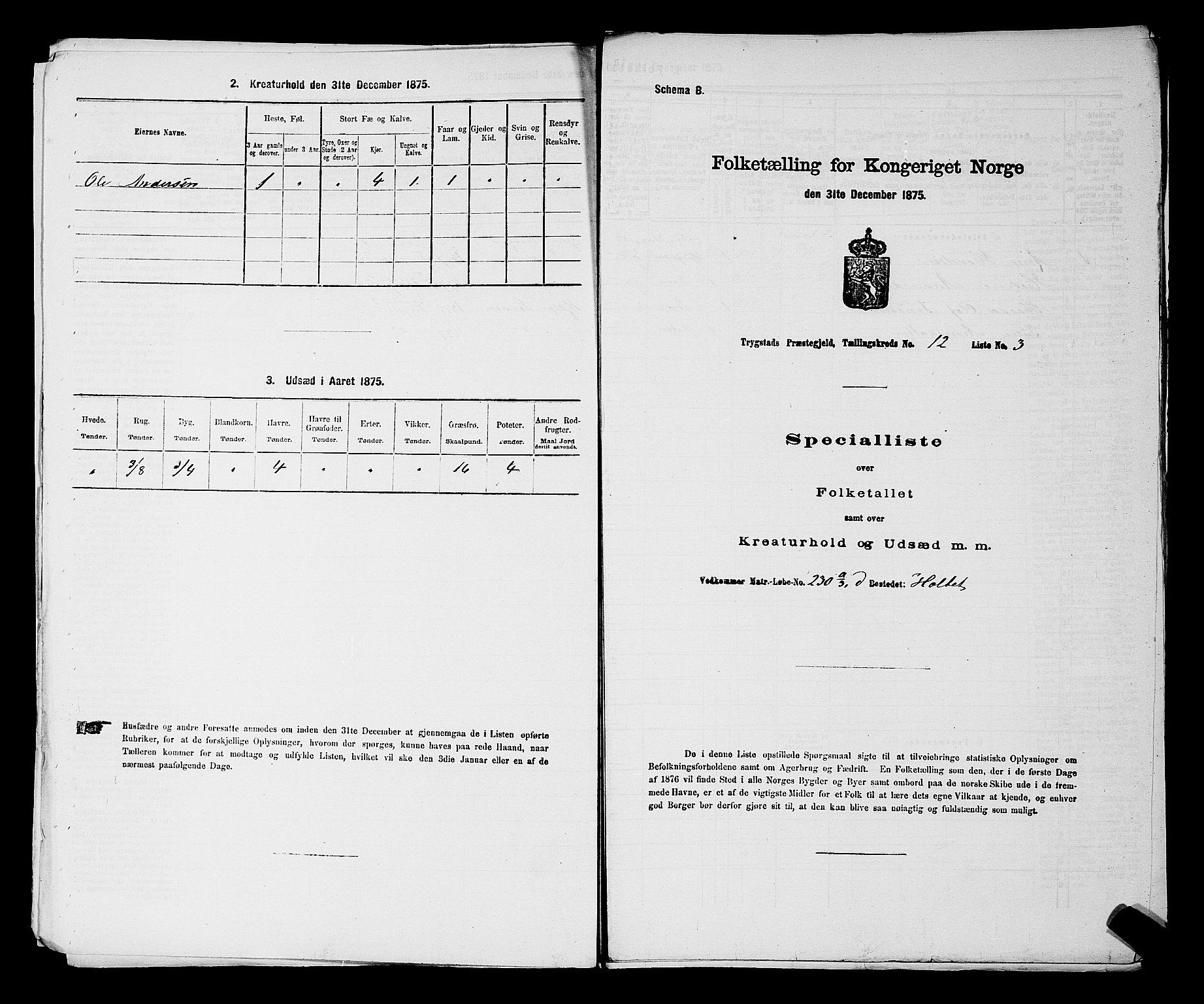 RA, 1875 census for 0122P Trøgstad, 1875, p. 1318