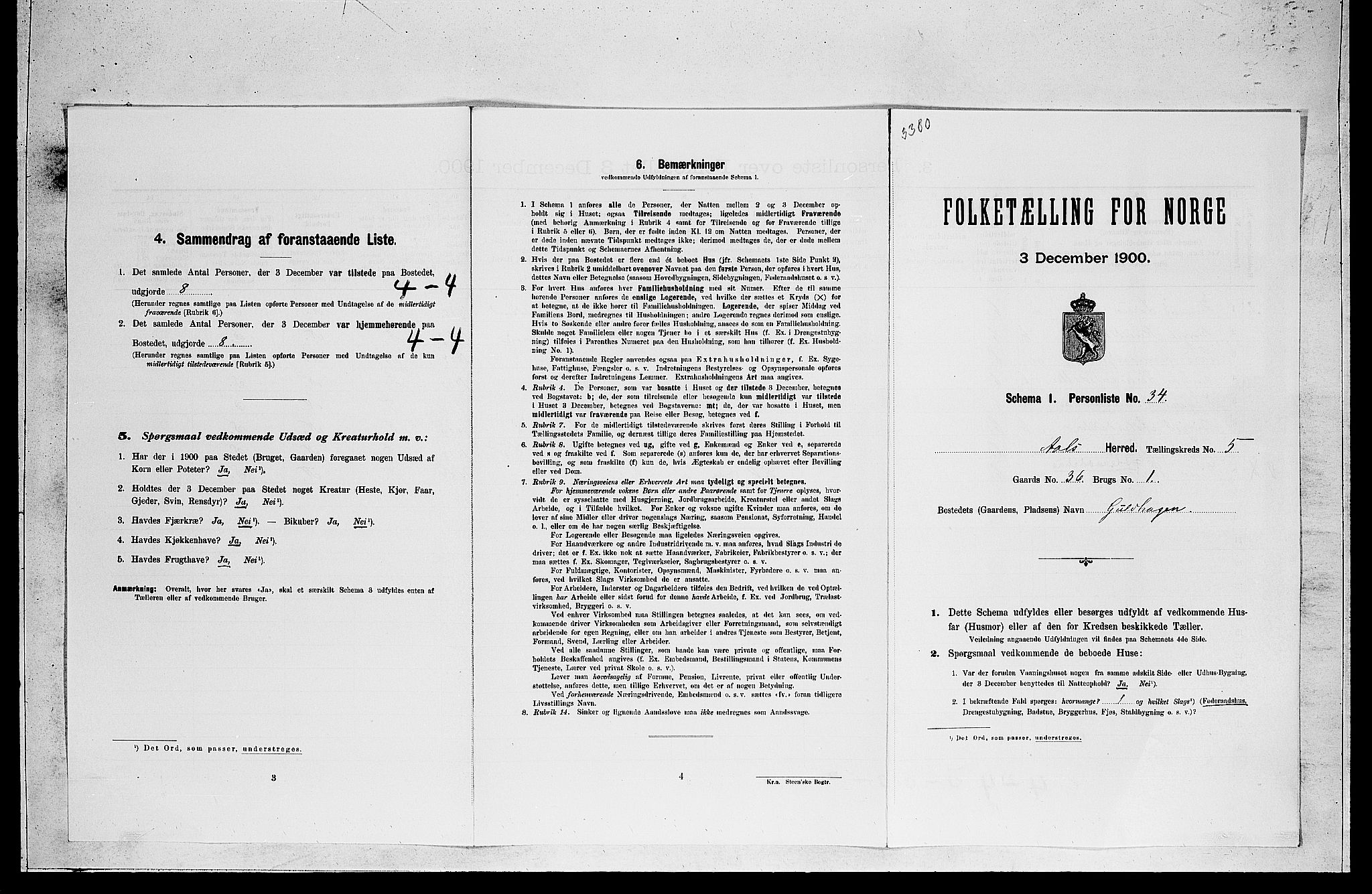 RA, 1900 census for Ål, 1900, p. 527