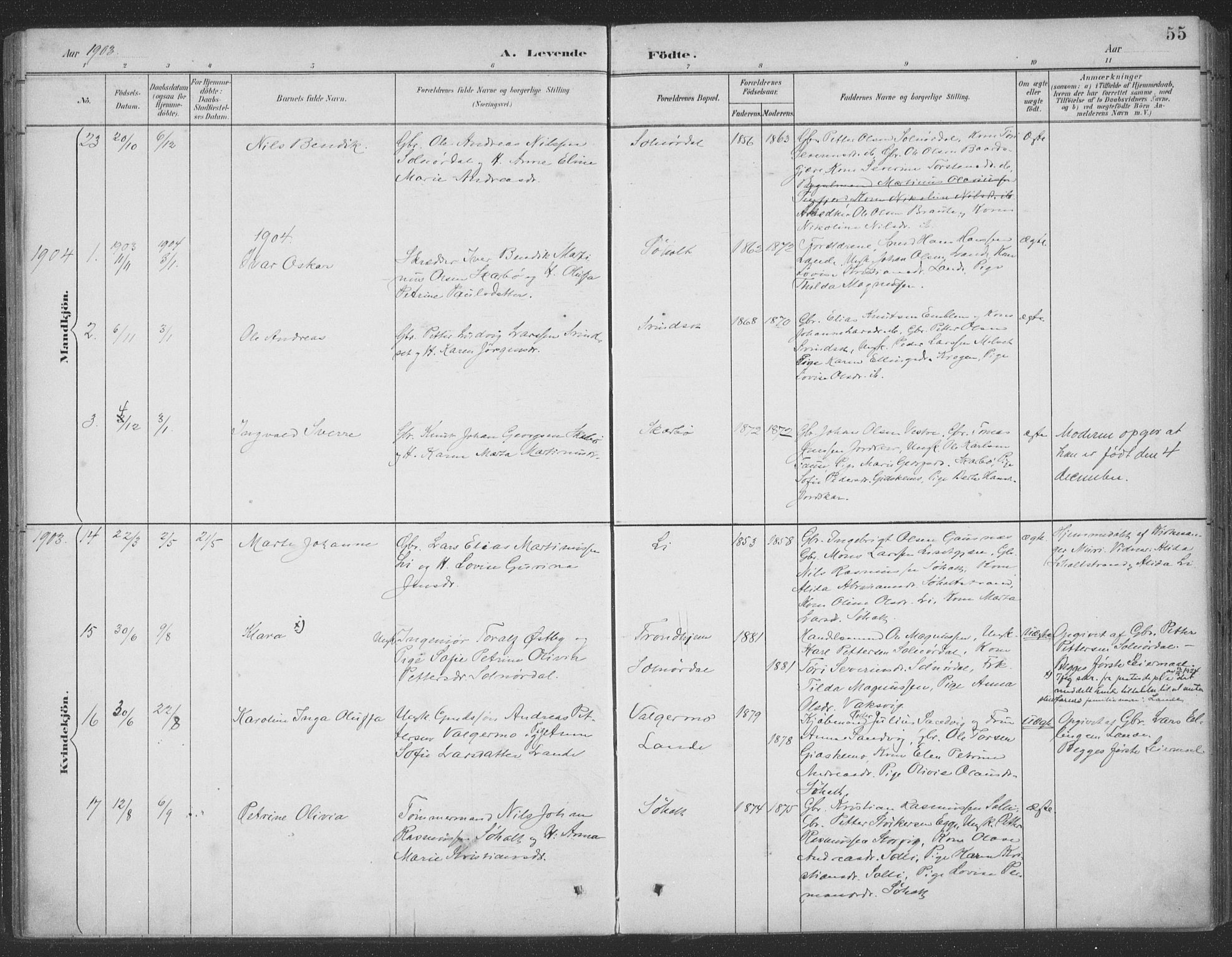 Ministerialprotokoller, klokkerbøker og fødselsregistre - Møre og Romsdal, AV/SAT-A-1454/522/L0316: Parish register (official) no. 522A11, 1890-1911, p. 55