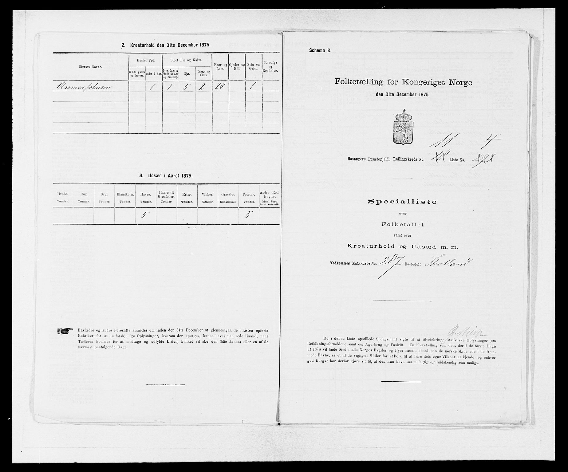 SAB, 1875 census for 1253P Hosanger, 1875, p. 781