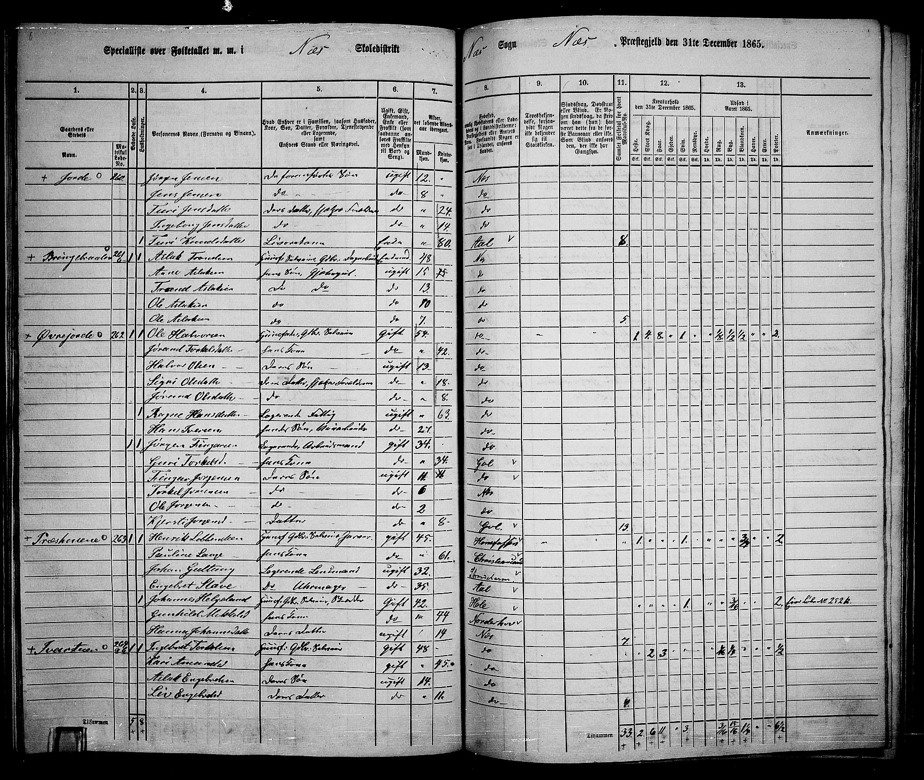 RA, 1865 census for Nes, 1865, p. 156
