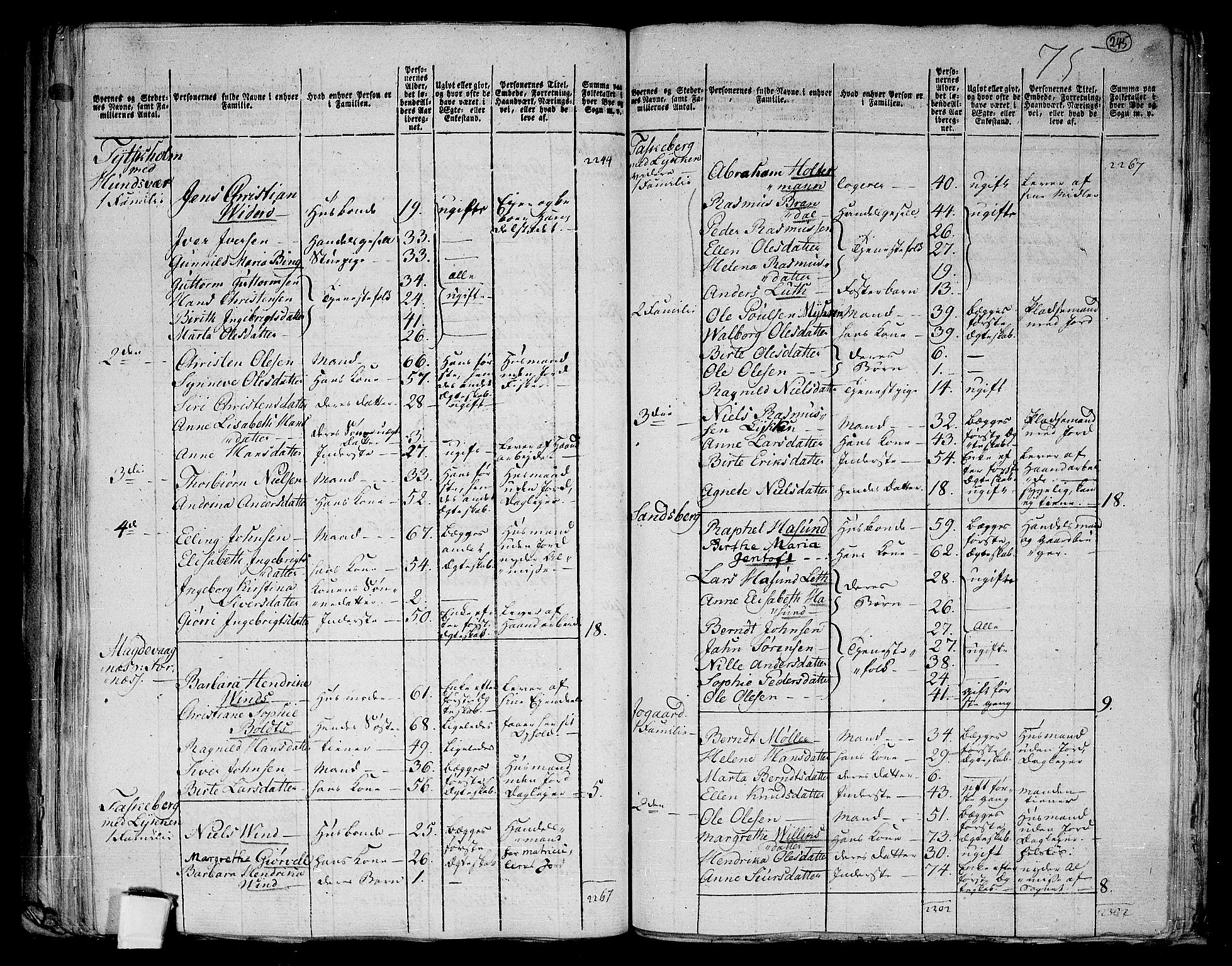RA, 1801 census for 1531P Borgund, 1801, p. 244b-245a