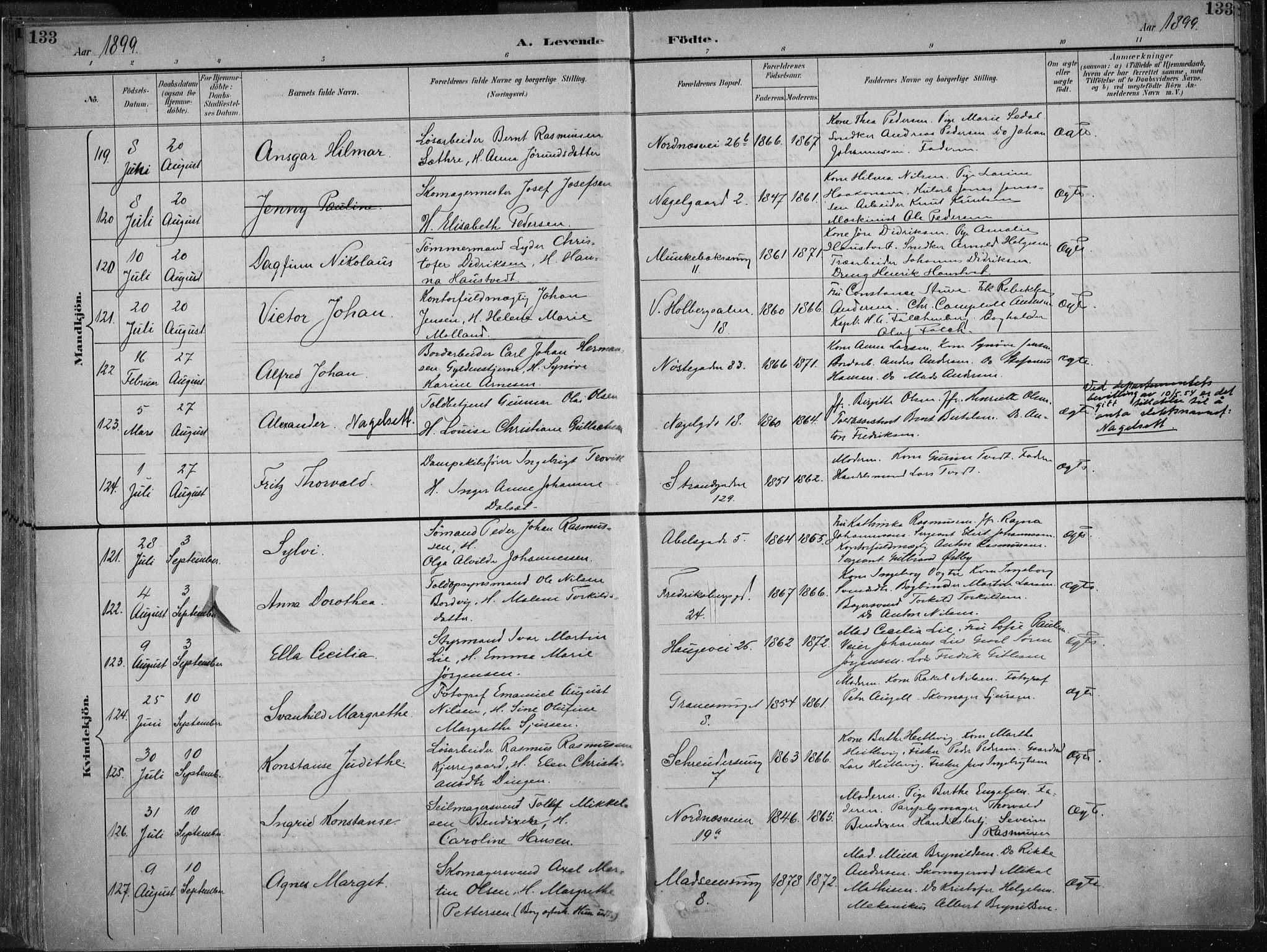 Nykirken Sokneprestembete, AV/SAB-A-77101/H/Haa/L0018: Parish register (official) no. B 6, 1895-1903, p. 133