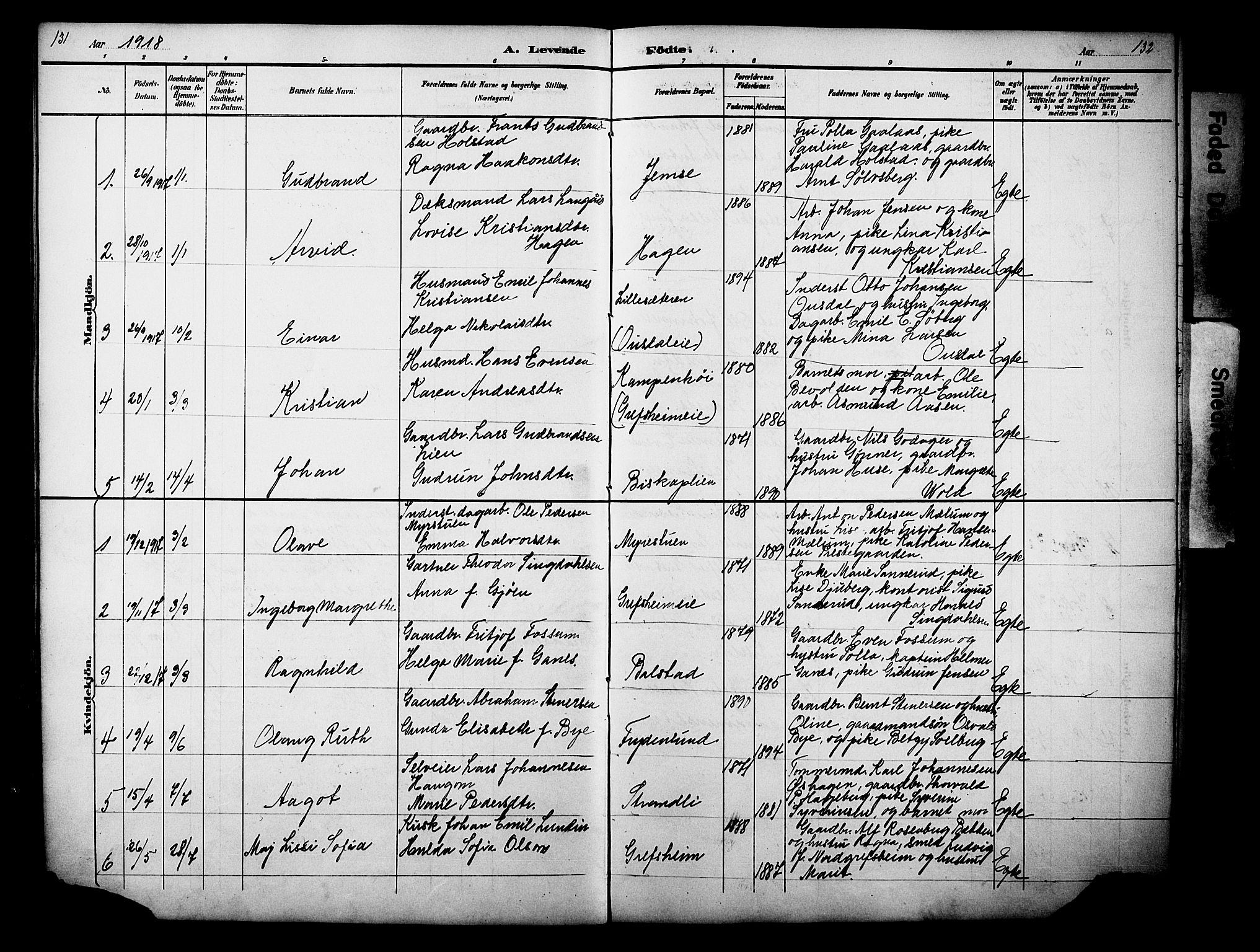 Nes prestekontor, Hedmark, AV/SAH-PREST-020/L/La/L0006: Parish register (copy) no. 6, 1890-1932, p. 131-132