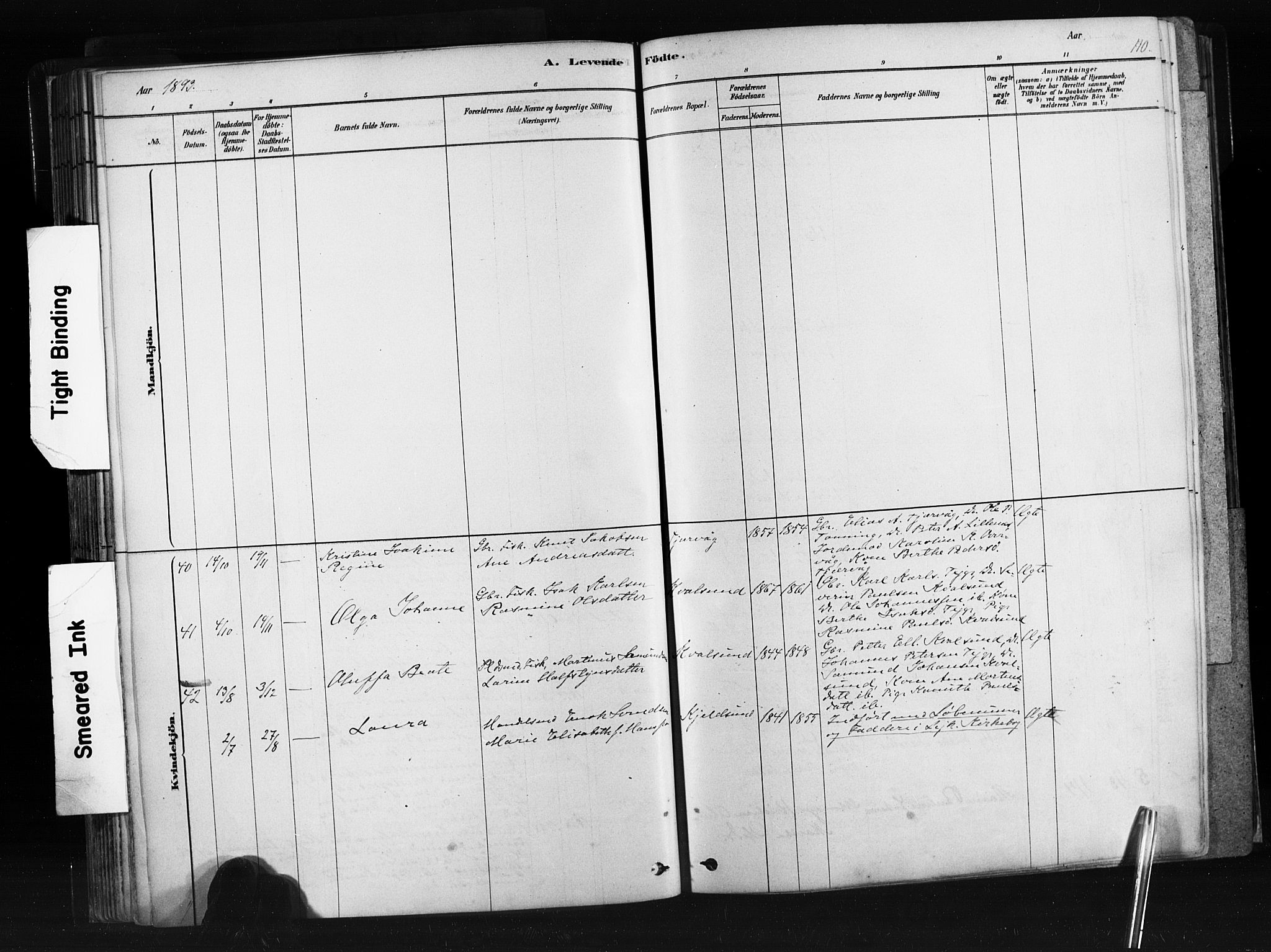 Ministerialprotokoller, klokkerbøker og fødselsregistre - Møre og Romsdal, AV/SAT-A-1454/507/L0073: Parish register (official) no. 507A08, 1878-1904, p. 110