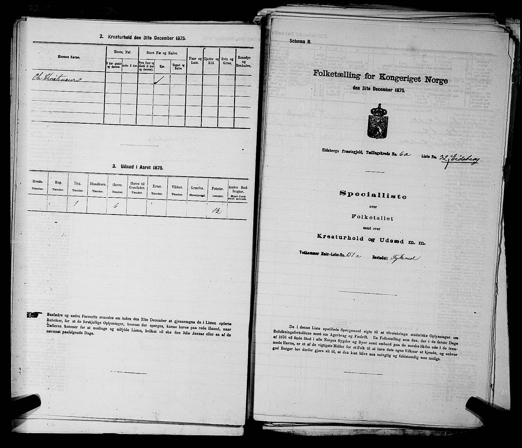 RA, 1875 census for 0125P Eidsberg, 1875, p. 1207