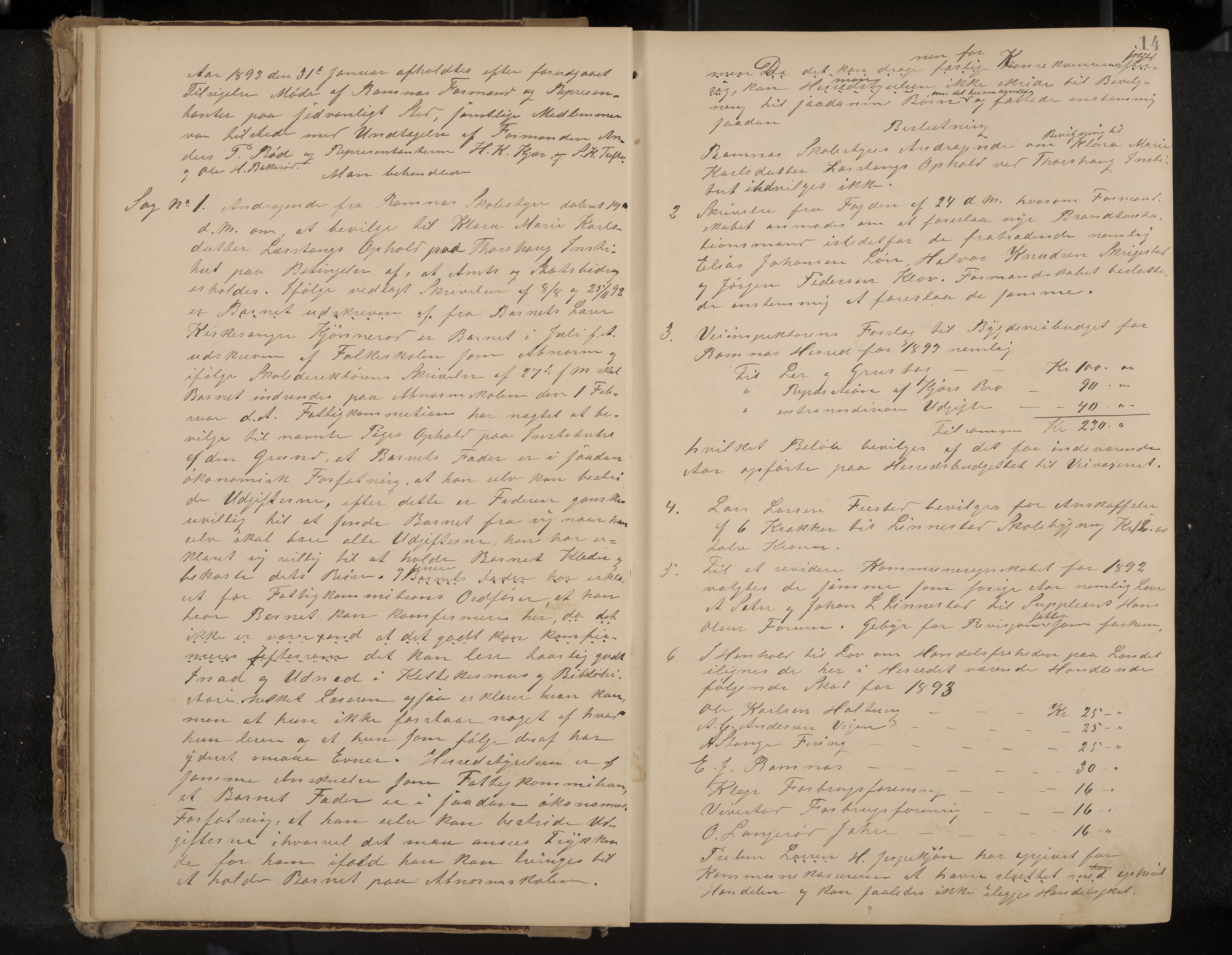 Ramnes formannskap og sentraladministrasjon, IKAK/0718021/A/Aa/L0004: Møtebok, 1892-1907, p. 14