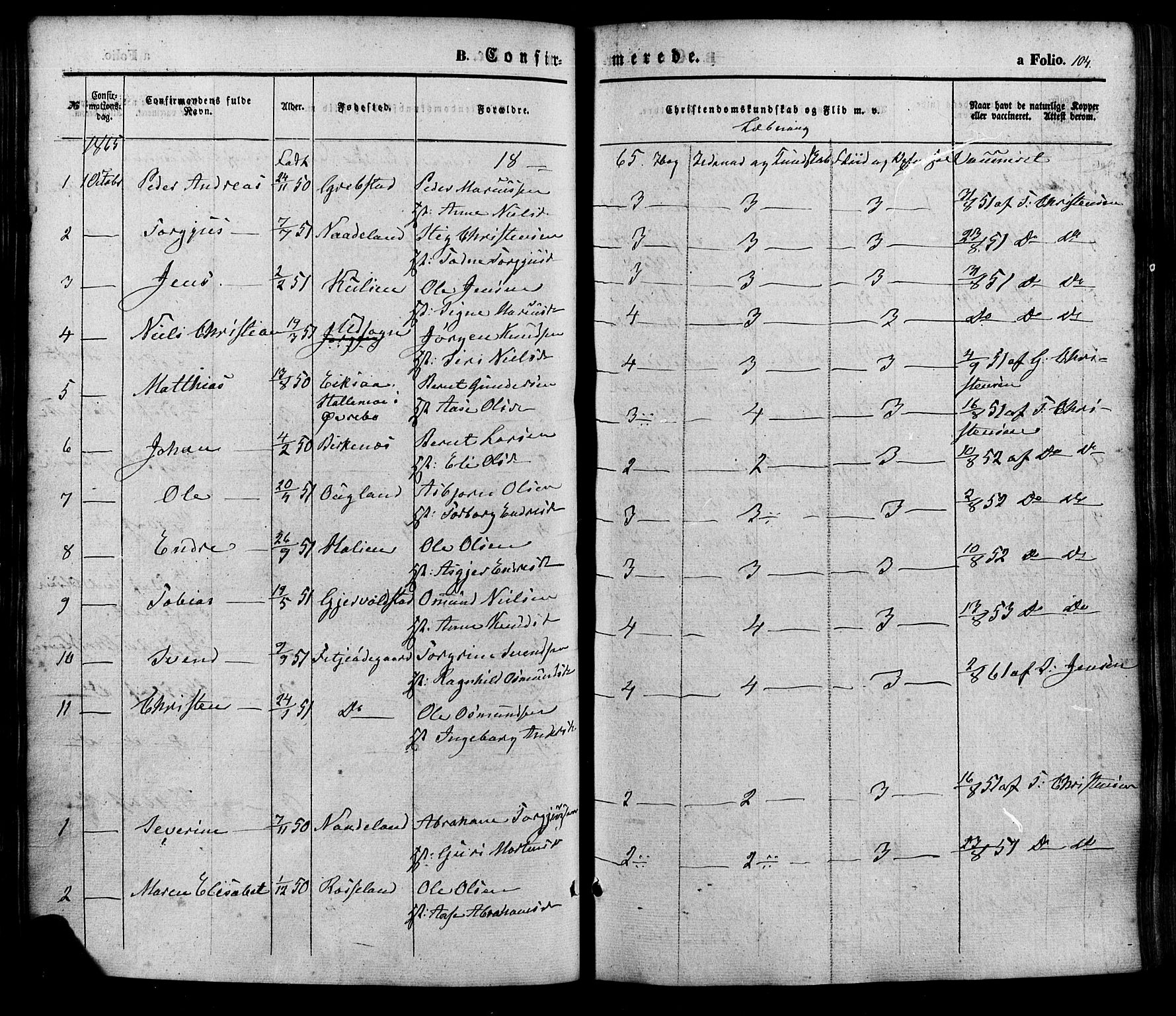 Søgne sokneprestkontor, SAK/1111-0037/F/Fa/Faa/L0002: Parish register (official) no. A 2, 1854-1882, p. 104
