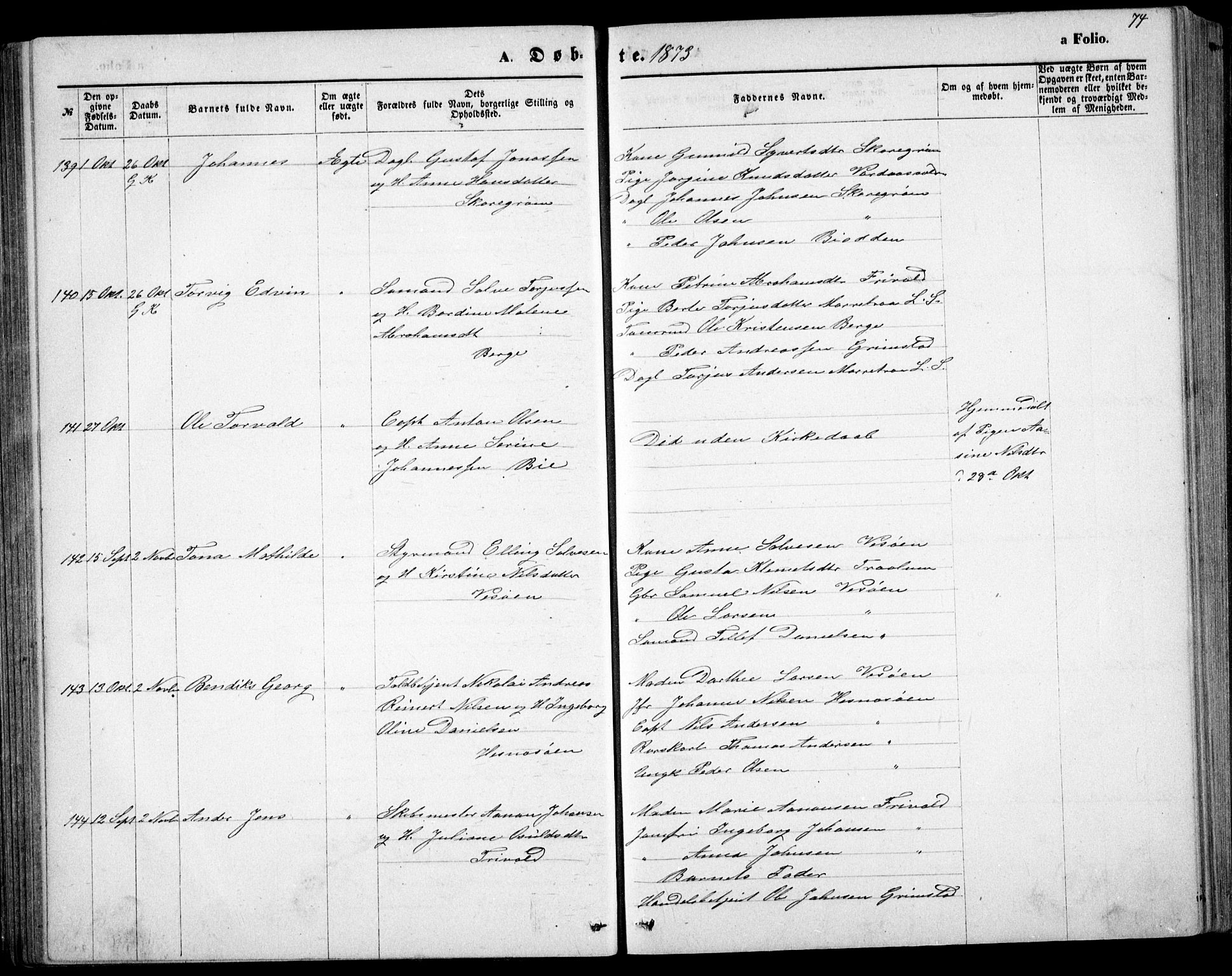 Fjære sokneprestkontor, AV/SAK-1111-0011/F/Fb/L0010: Parish register (copy) no. B 10, 1871-1880, p. 74