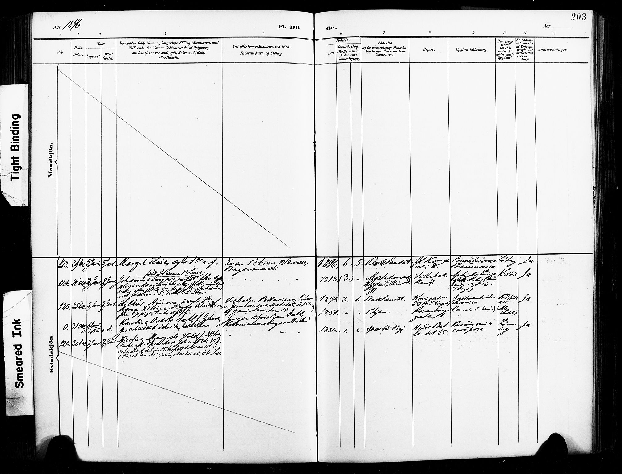 Ministerialprotokoller, klokkerbøker og fødselsregistre - Sør-Trøndelag, AV/SAT-A-1456/604/L0198: Parish register (official) no. 604A19, 1893-1900, p. 203