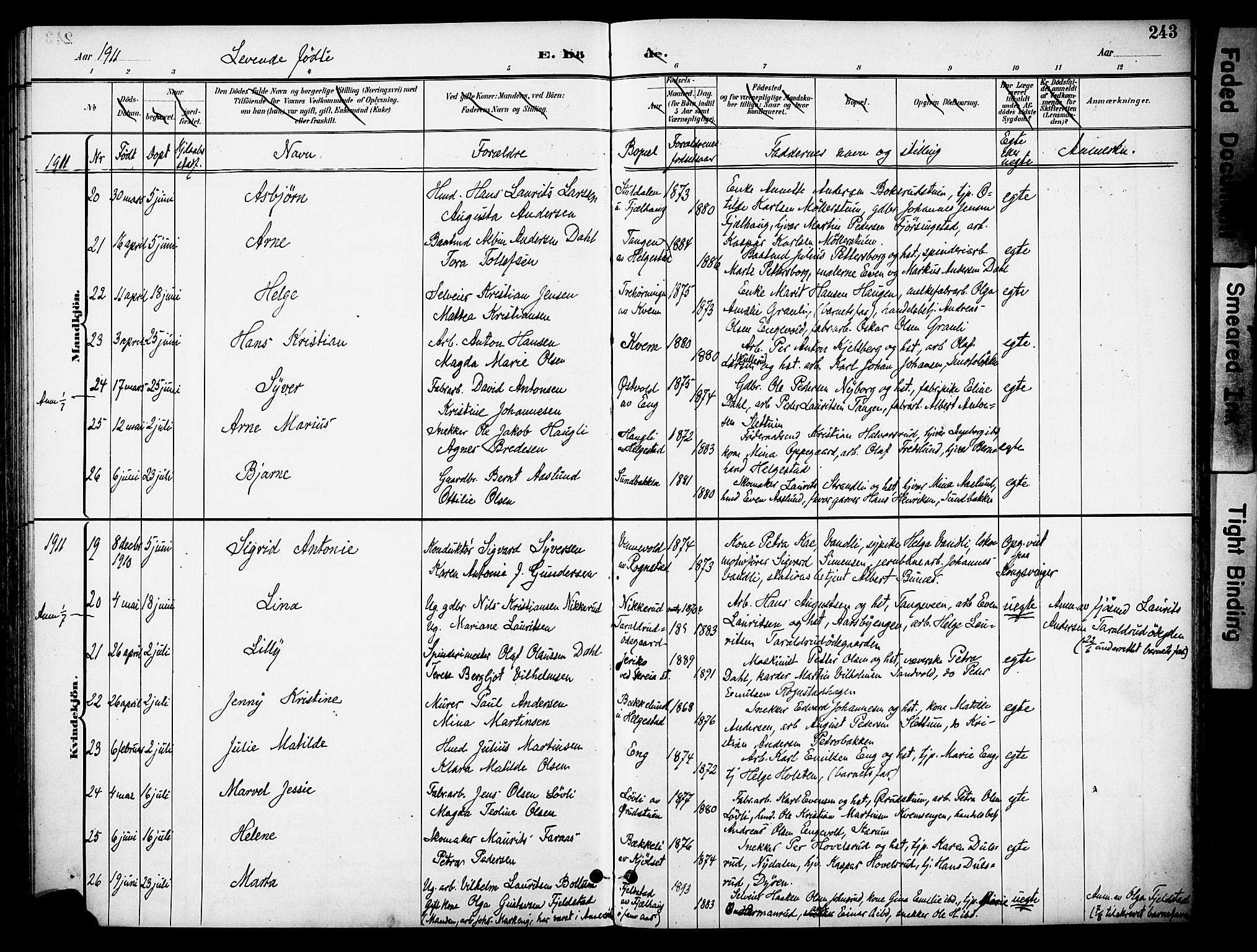 Østre Toten prestekontor, AV/SAH-PREST-104/H/Ha/Haa/L0009: Parish register (official) no. 9, 1897-1913, p. 243