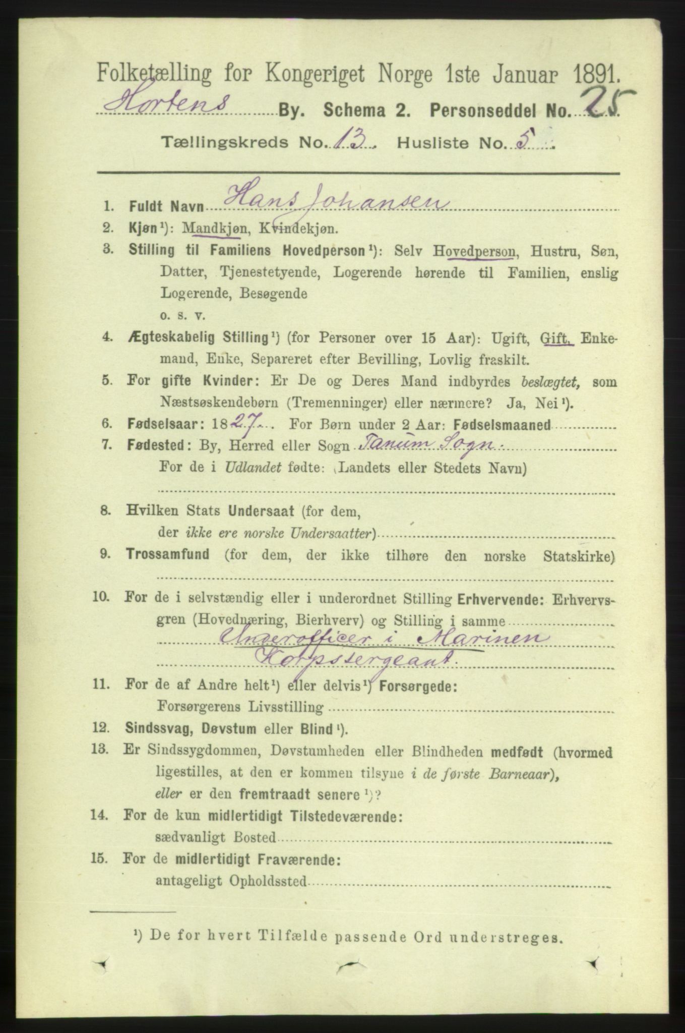 RA, 1891 census for 0703 Horten, 1891, p. 8230