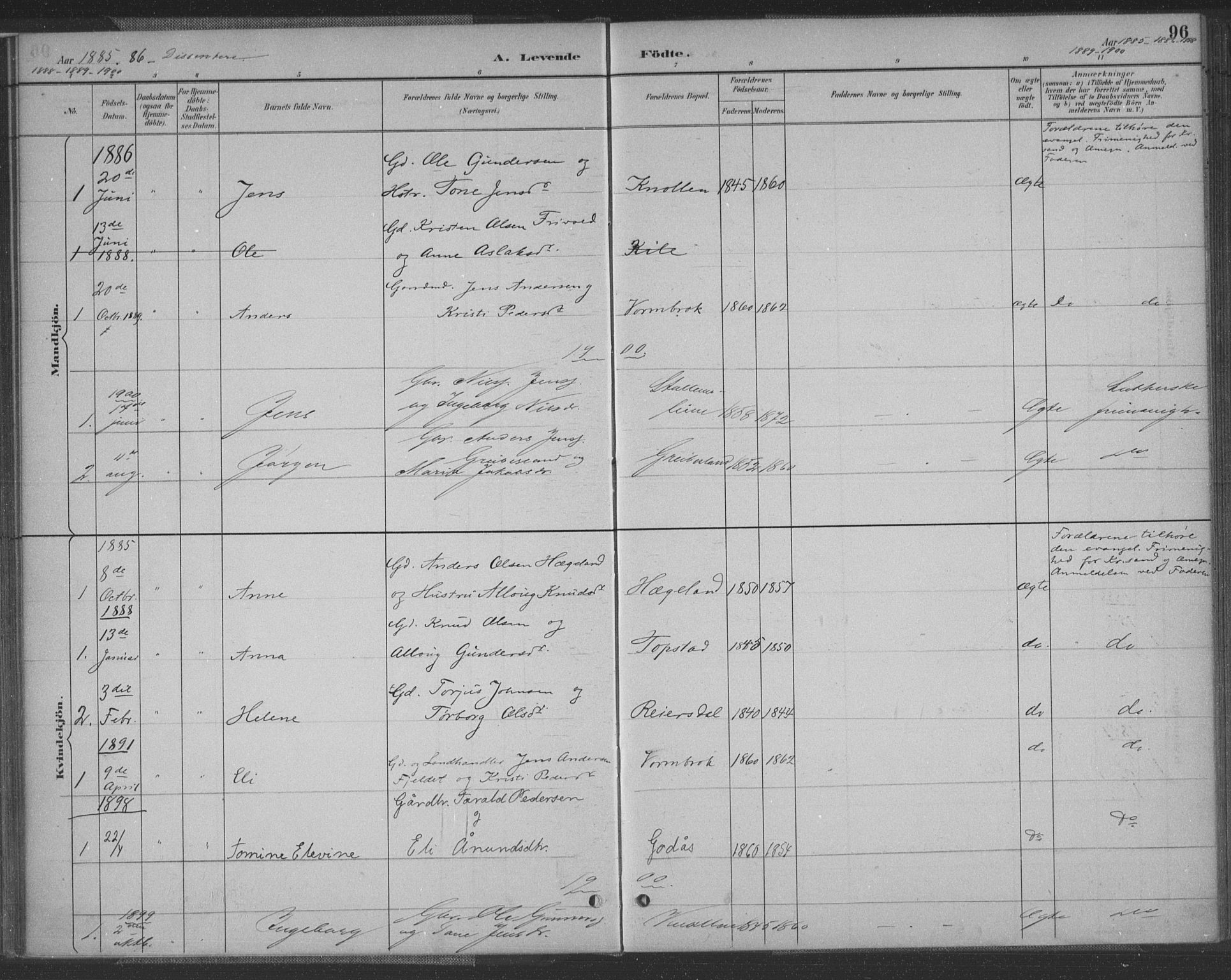 Vennesla sokneprestkontor, SAK/1111-0045/Fa/Fac/L0009: Parish register (official) no. A 9, 1884-1901, p. 96