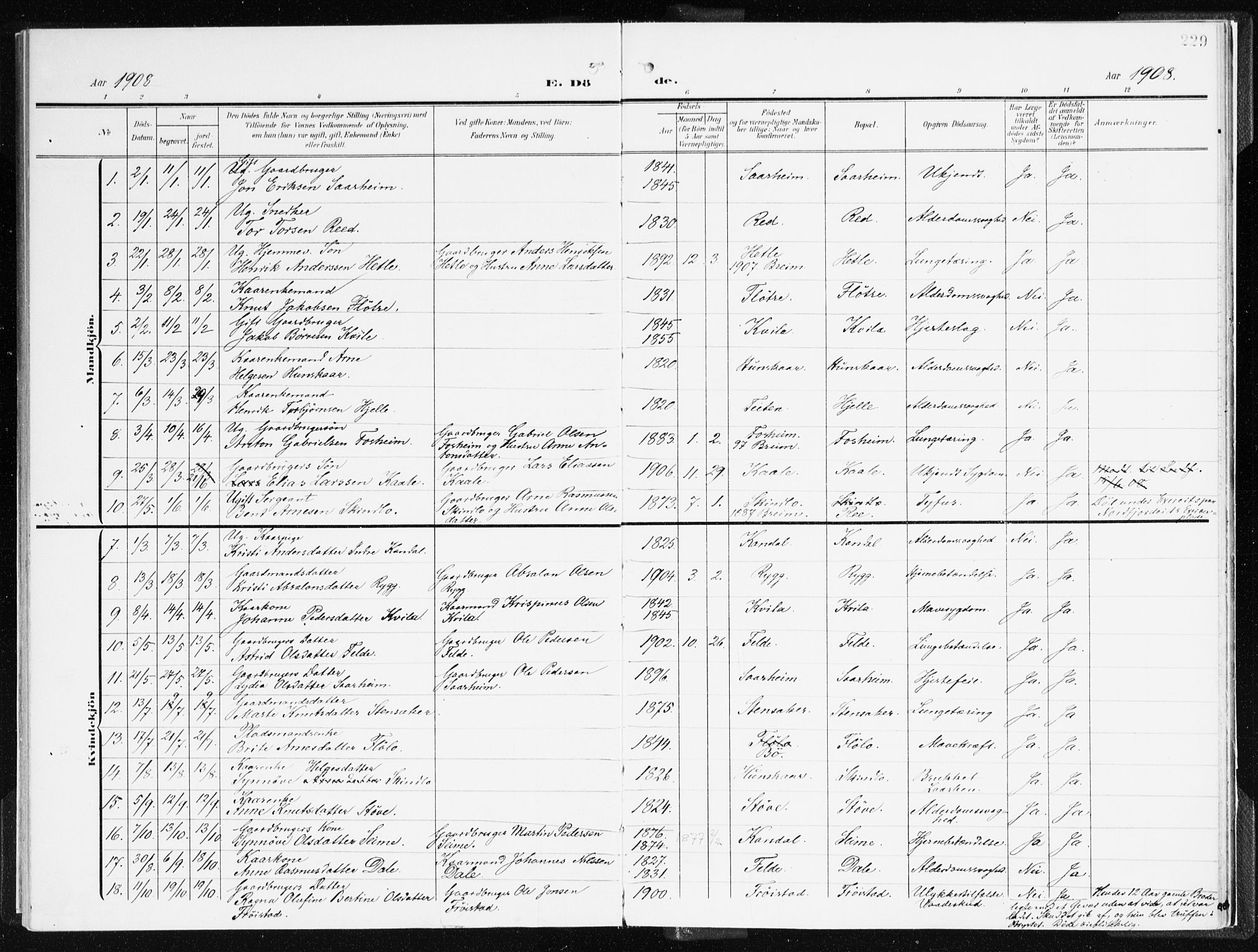 Gloppen sokneprestembete, AV/SAB-A-80101/H/Haa/Haac/L0003: Parish register (official) no. C 3, 1904-1921, p. 229