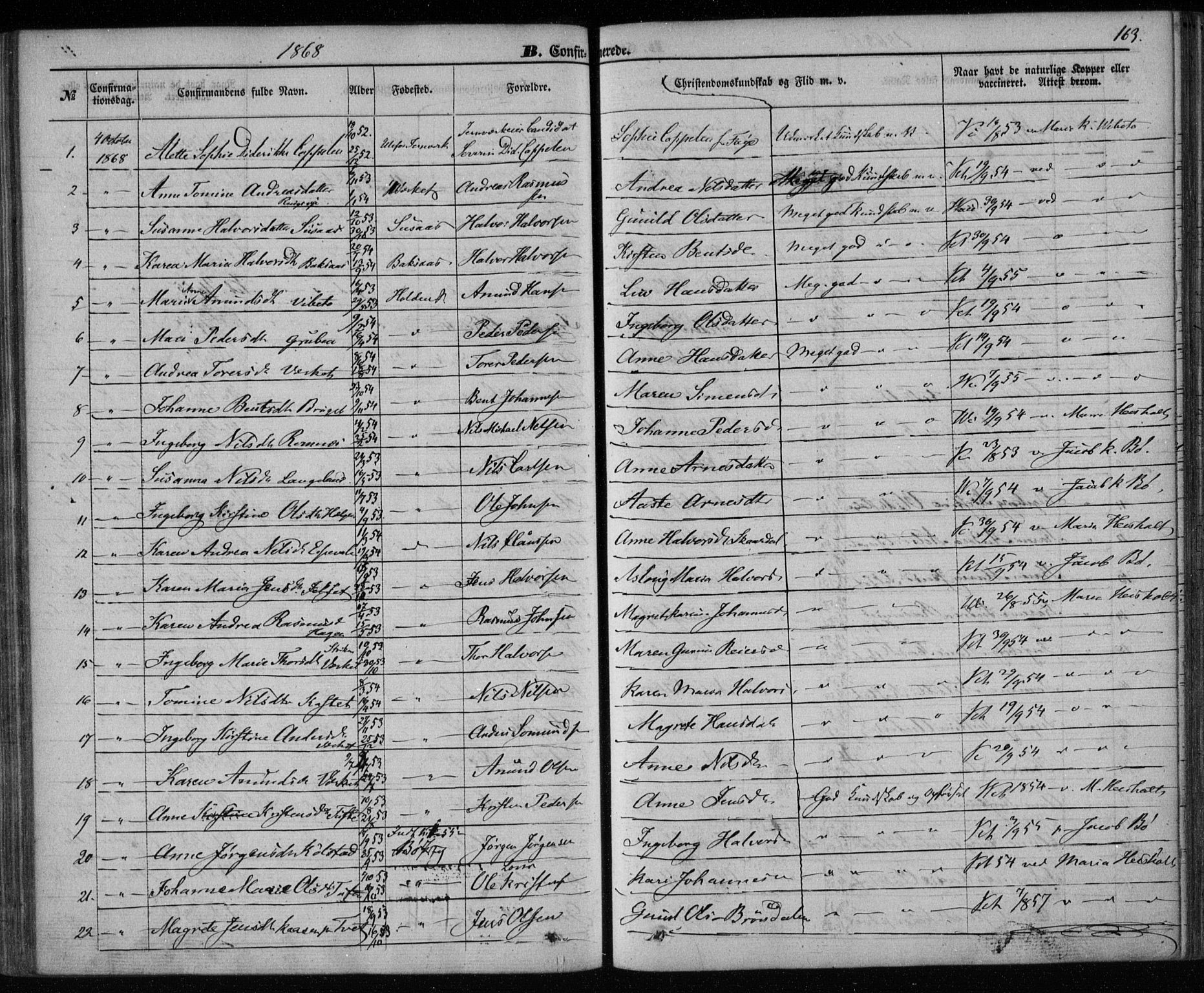 Holla kirkebøker, AV/SAKO-A-272/F/Fa/L0006: Parish register (official) no. 6, 1861-1869, p. 163