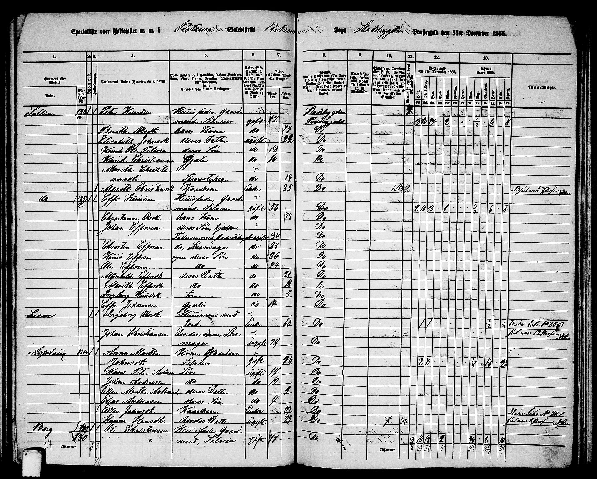 RA, 1865 census for Stadsbygd, 1865, p. 118