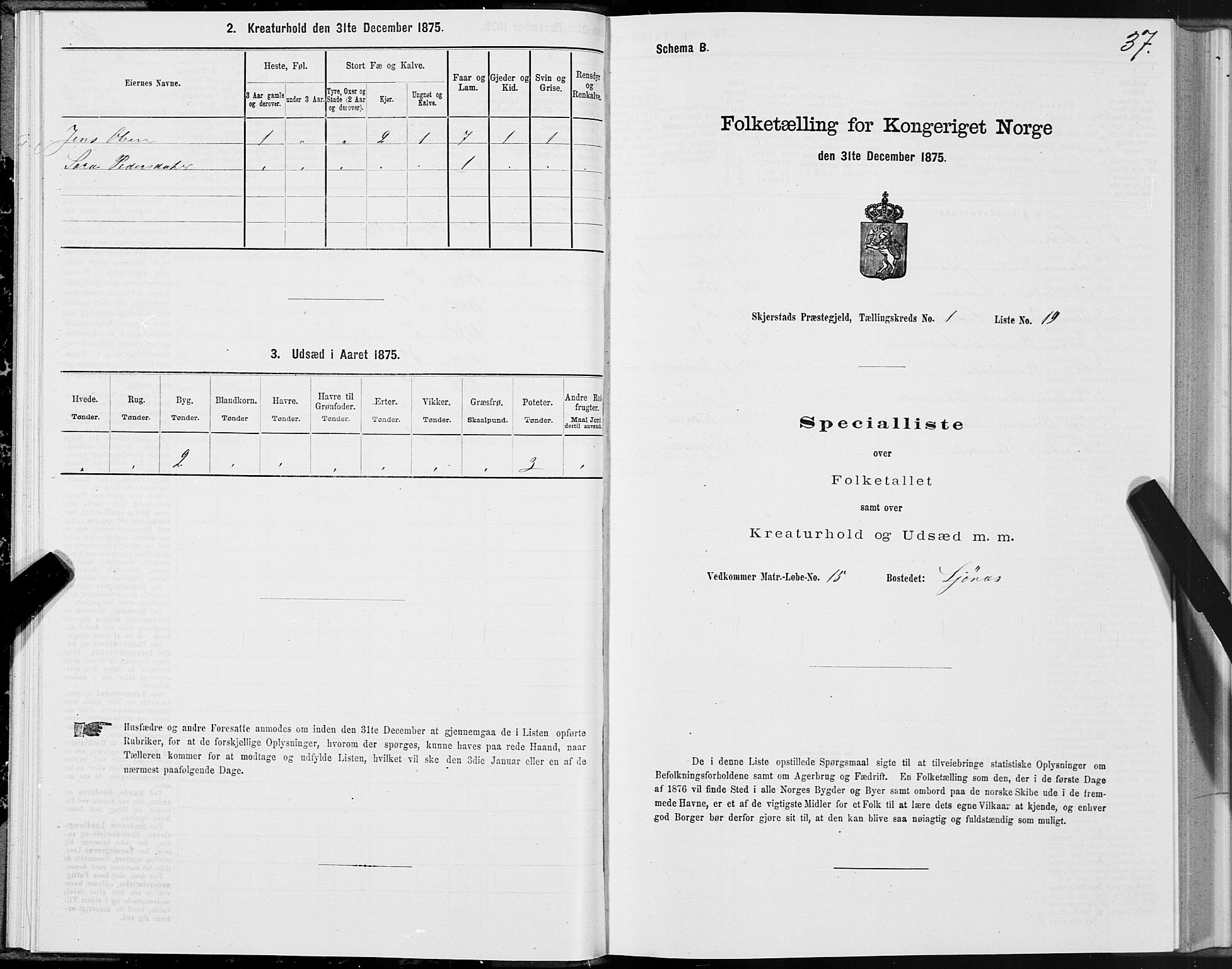 SAT, 1875 census for 1842P Skjerstad, 1875, p. 1037