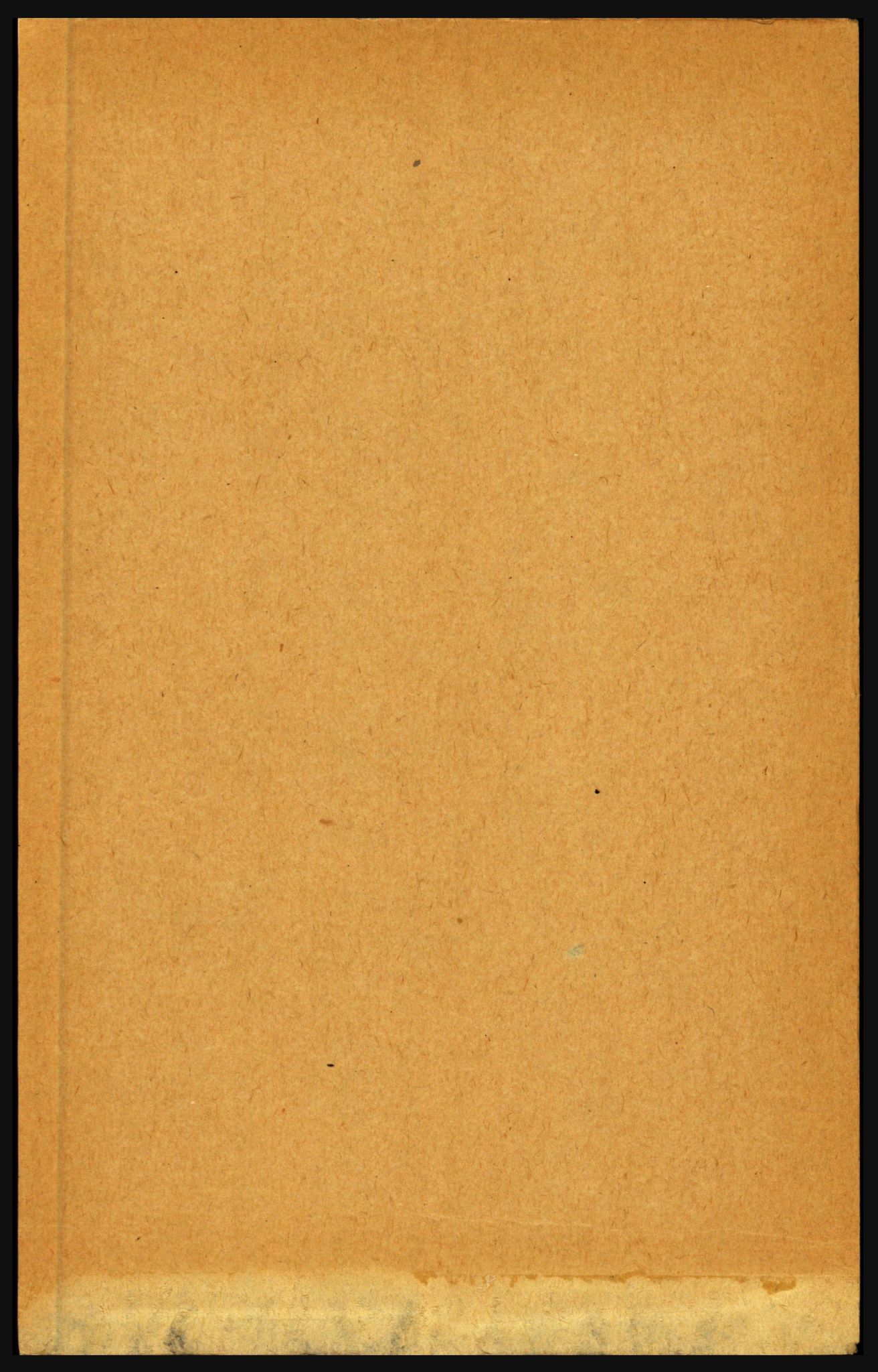 RA, 1891 census for 1859 Flakstad, 1891, p. 596