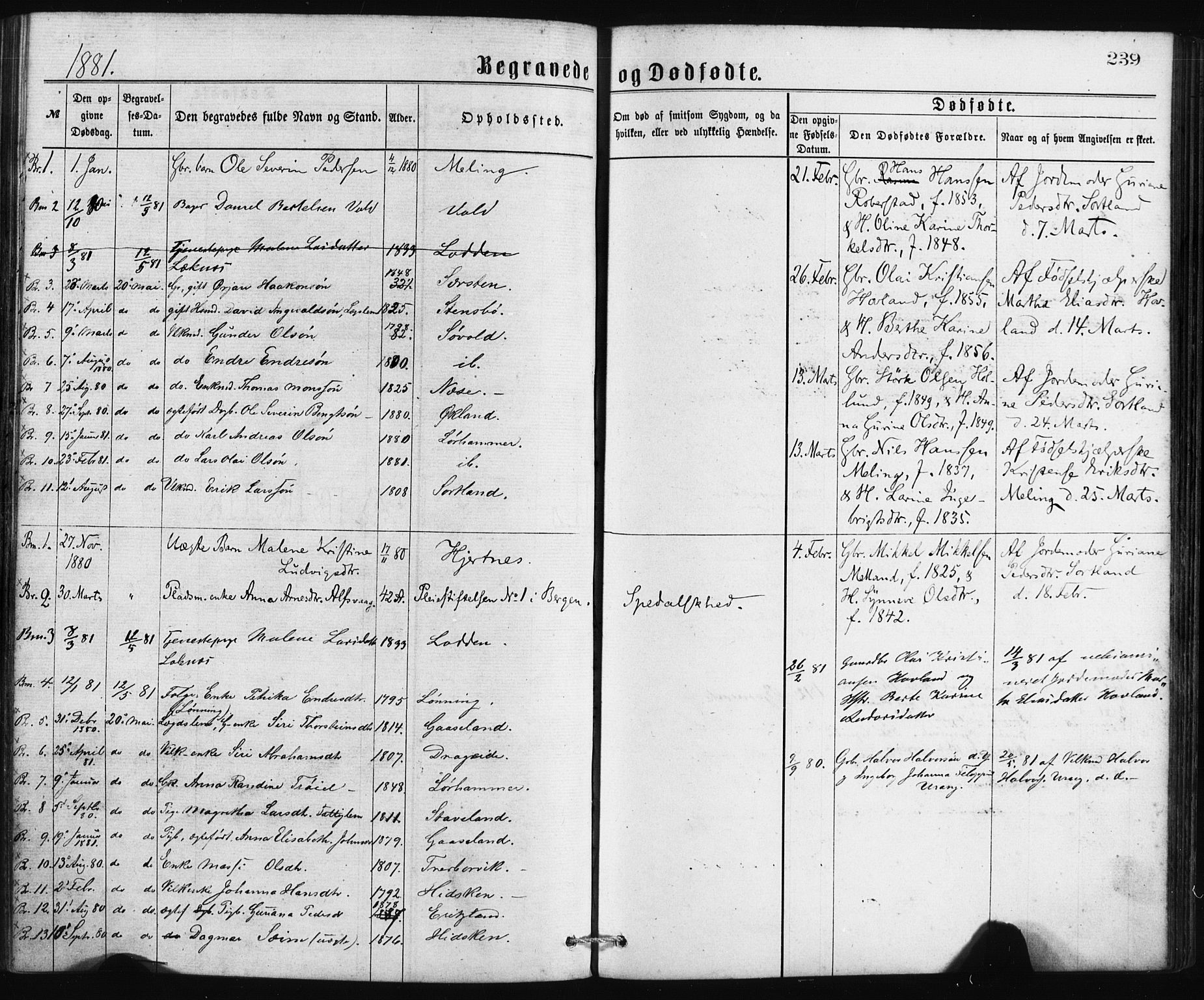 Finnås sokneprestembete, SAB/A-99925/H/Ha/Haa/Haaa/L0009: Parish register (official) no. A 9, 1873-1881, p. 239