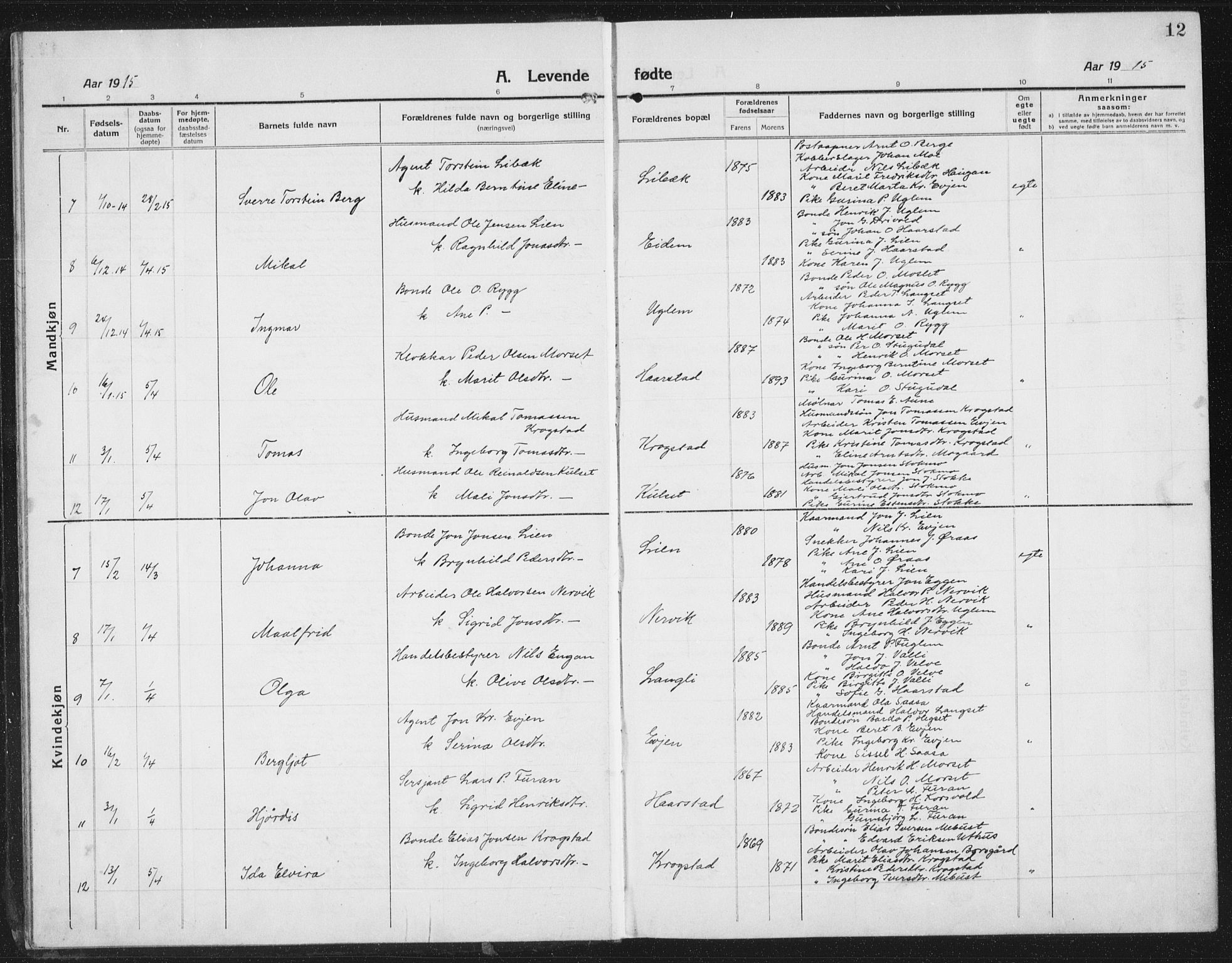 Ministerialprotokoller, klokkerbøker og fødselsregistre - Sør-Trøndelag, SAT/A-1456/695/L1158: Parish register (copy) no. 695C09, 1913-1940, p. 12