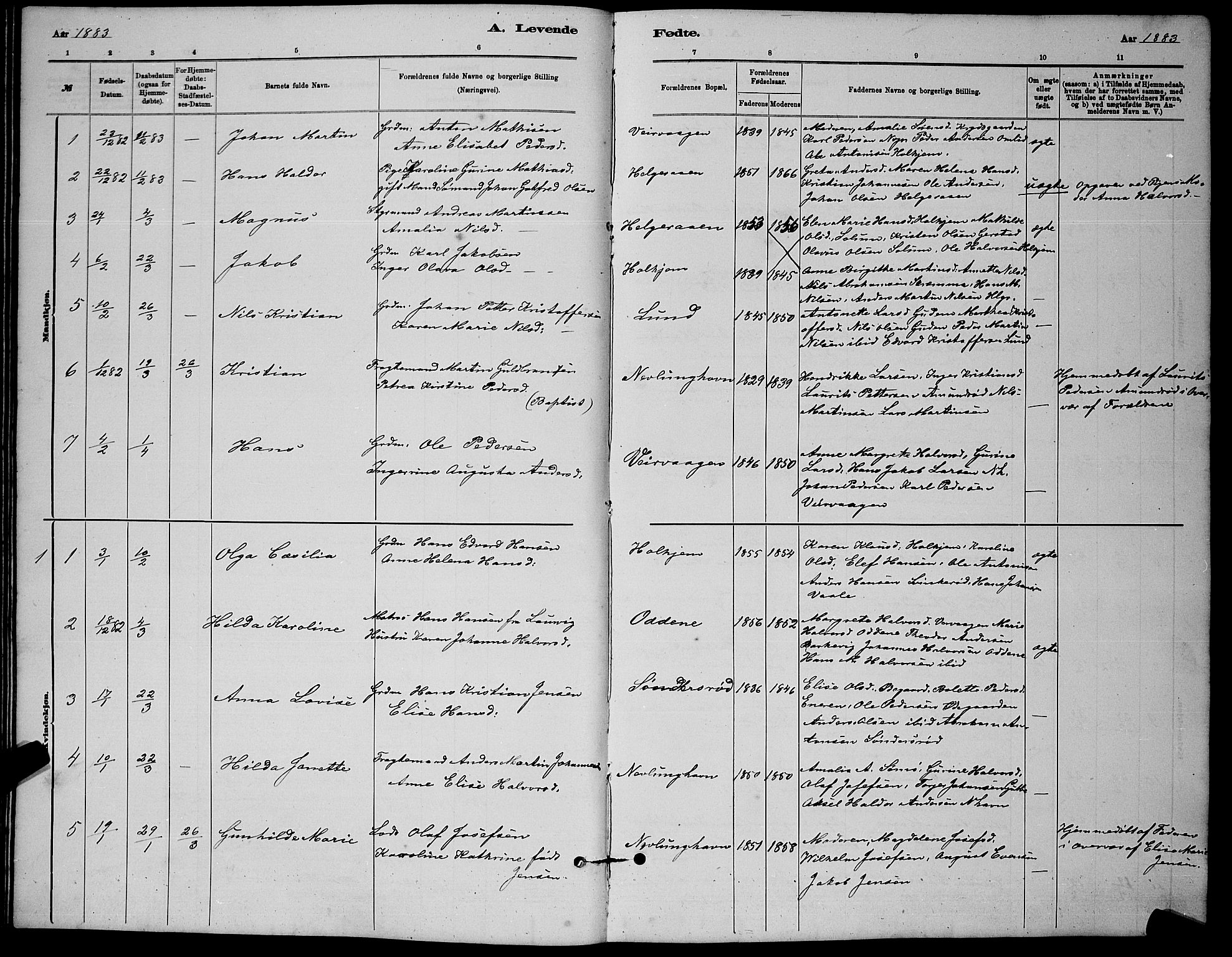 Brunlanes kirkebøker, AV/SAKO-A-342/G/Gb/L0002: Parish register (copy) no. II 2, 1878-1902