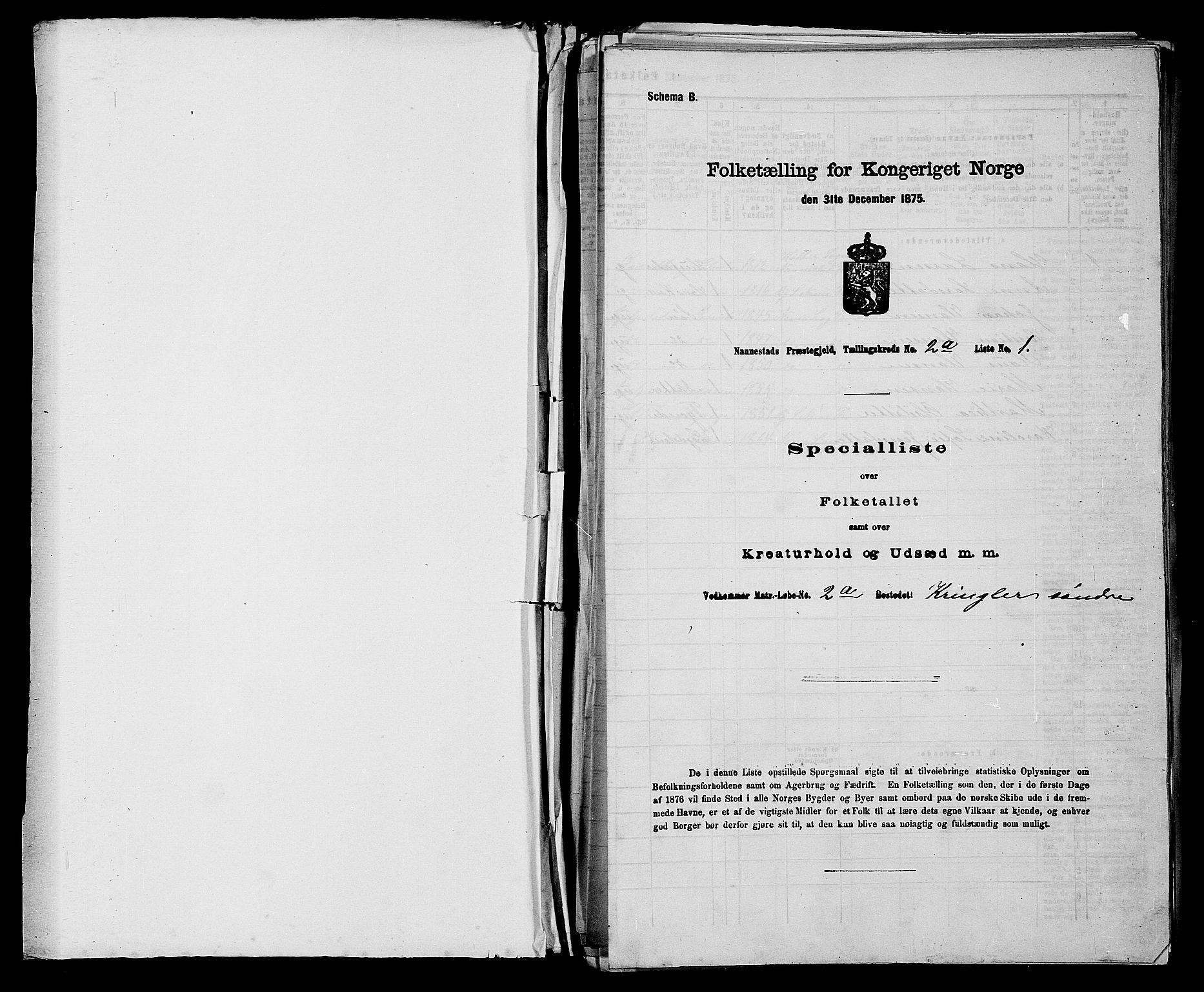 RA, 1875 census for 0238P Nannestad, 1875, p. 205