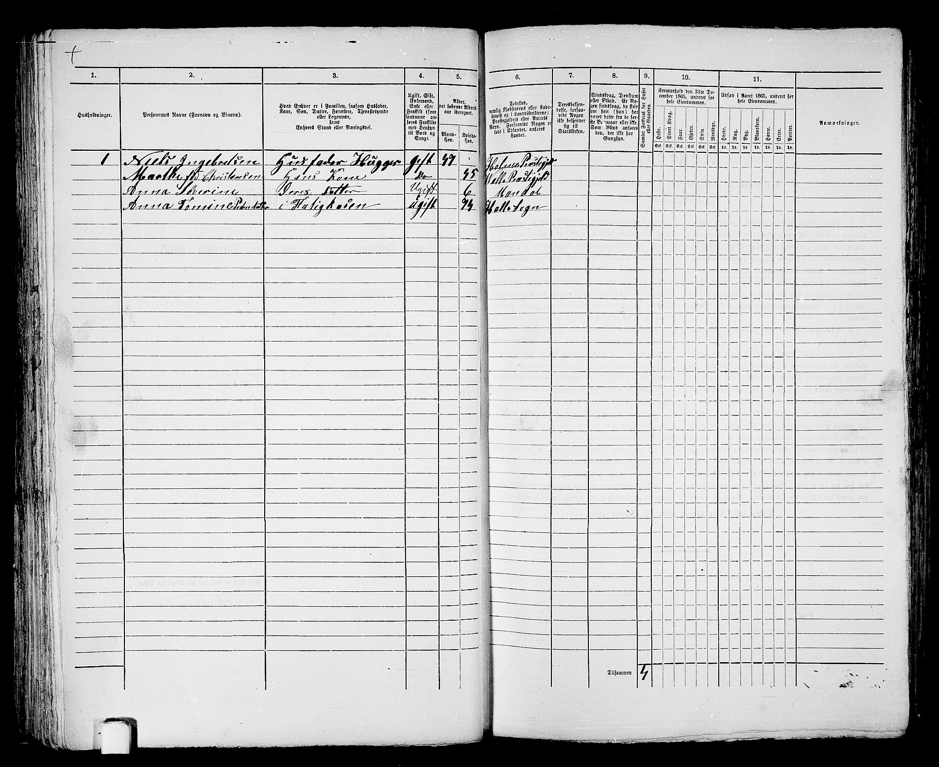 RA, 1865 census for Mandal/Mandal, 1865, p. 571