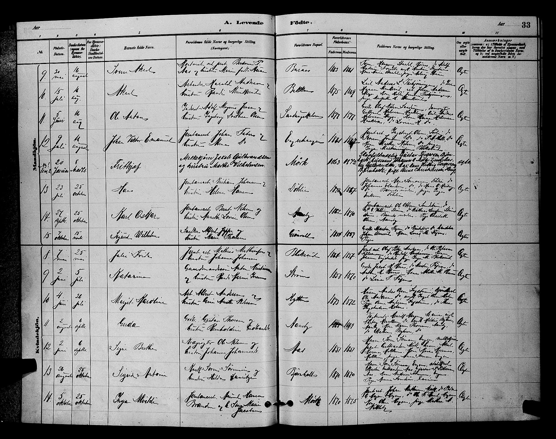 Nittedal prestekontor Kirkebøker, SAO/A-10365a/G/Gb/L0002: Parish register (copy) no. II 2, 1879-1901, p. 33
