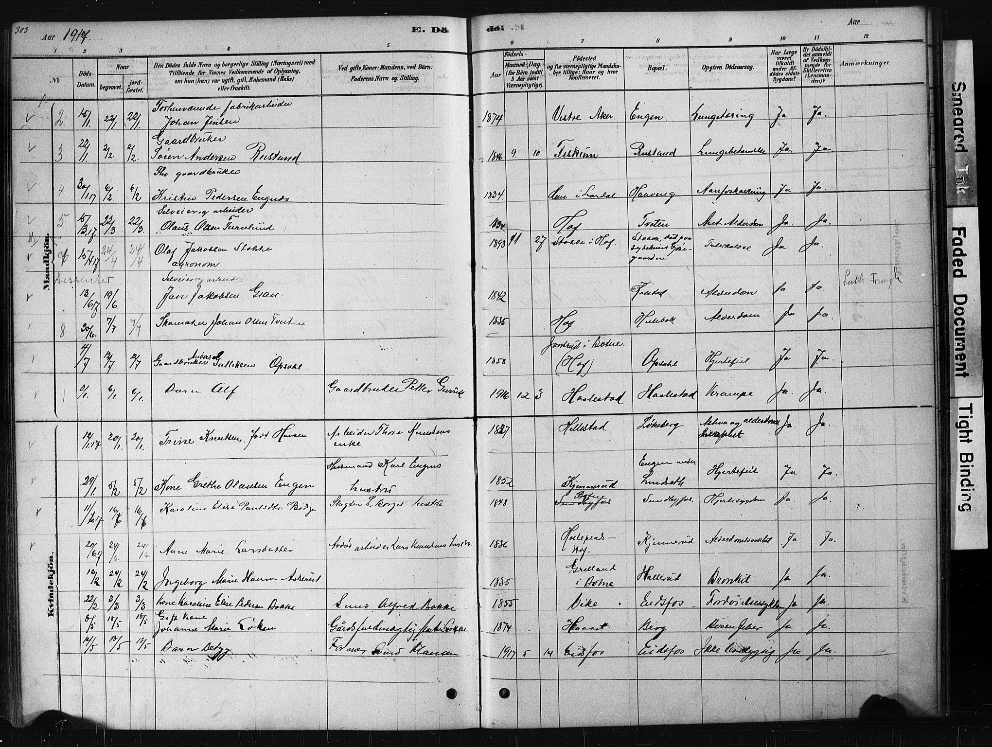 Hof kirkebøker, AV/SAKO-A-64/G/Ga/L0004: Parish register (copy) no. I 4, 1878-1930, p. 303