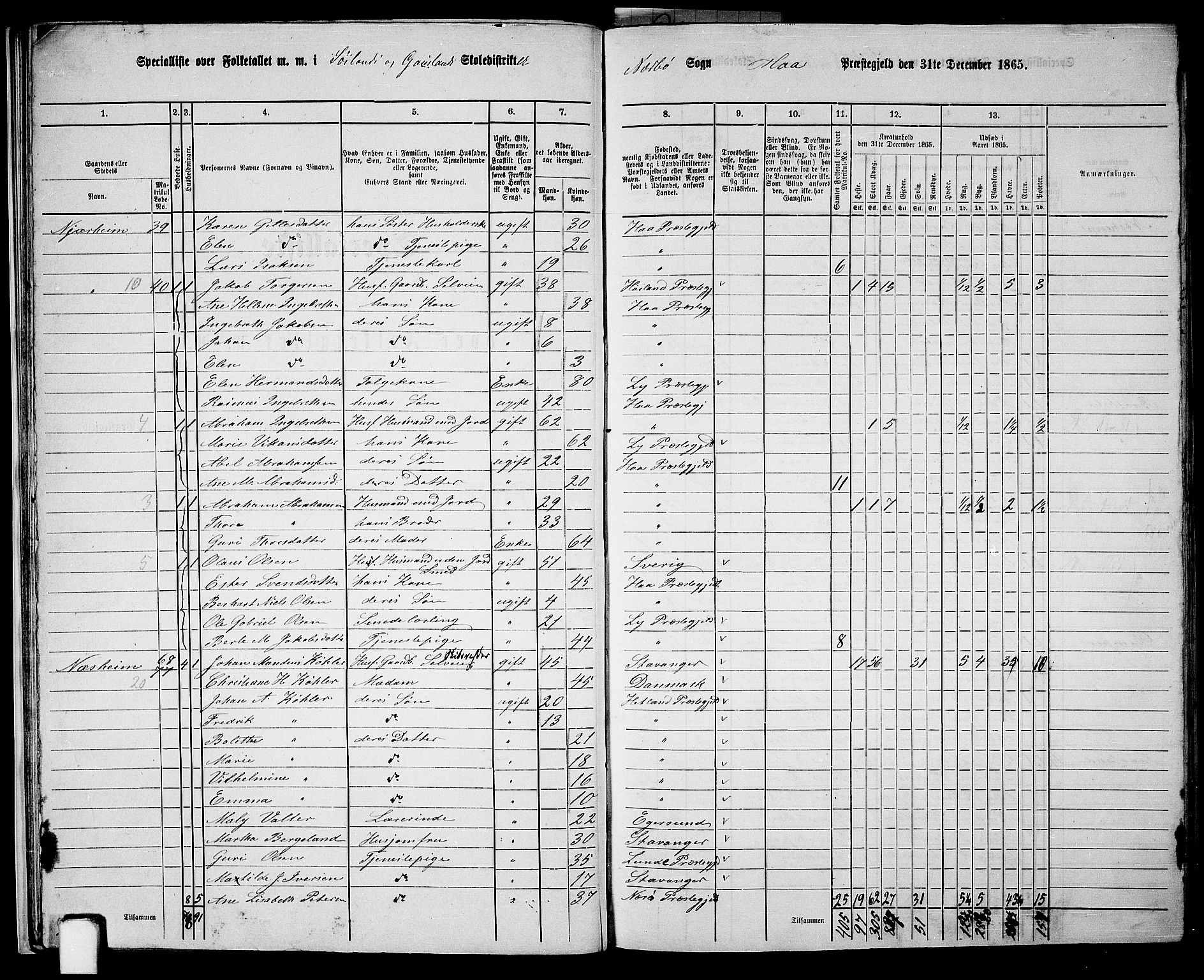 RA, 1865 census for Hå, 1865, p. 25