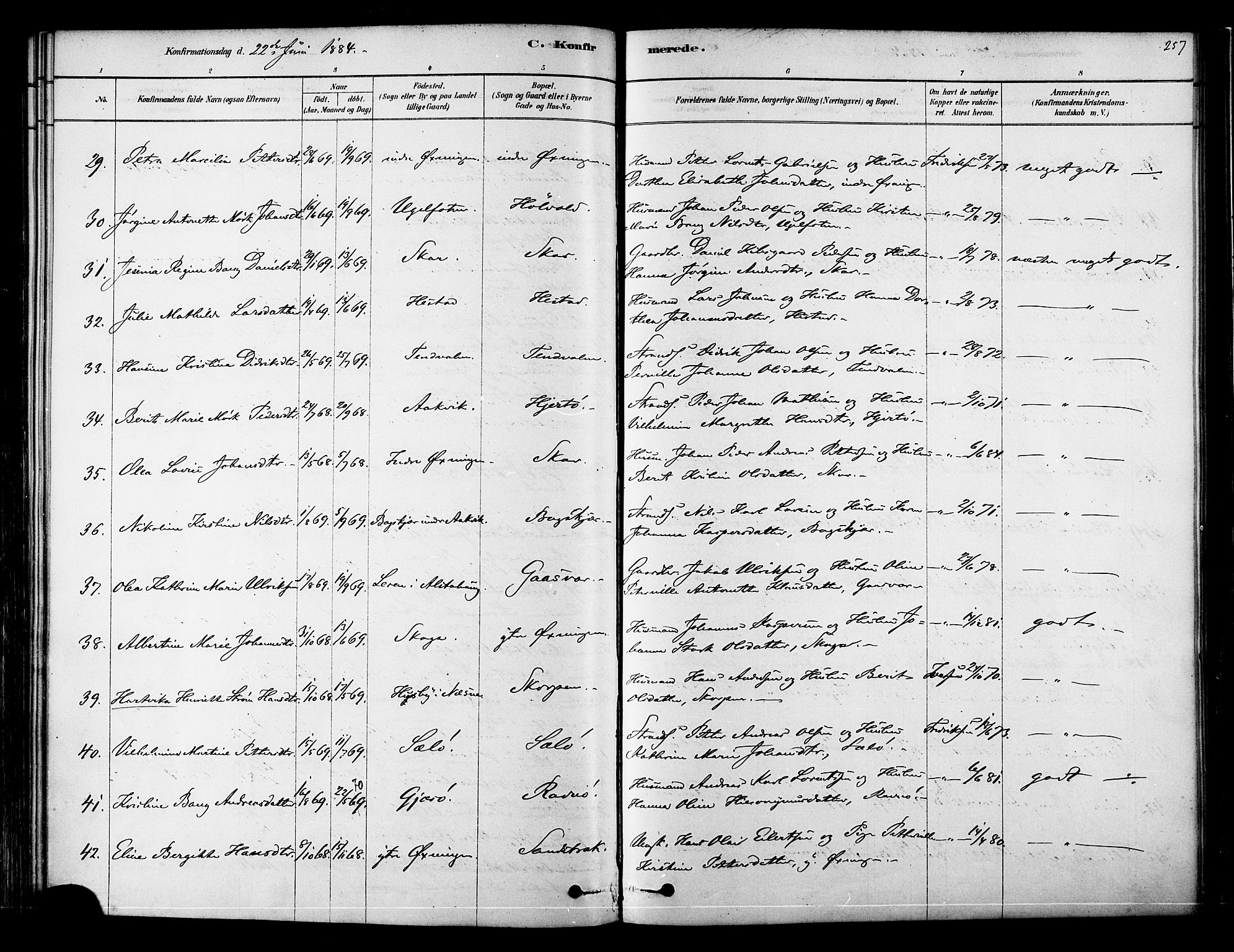 Ministerialprotokoller, klokkerbøker og fødselsregistre - Nordland, AV/SAT-A-1459/834/L0507: Parish register (official) no. 834A05, 1878-1892, p. 257