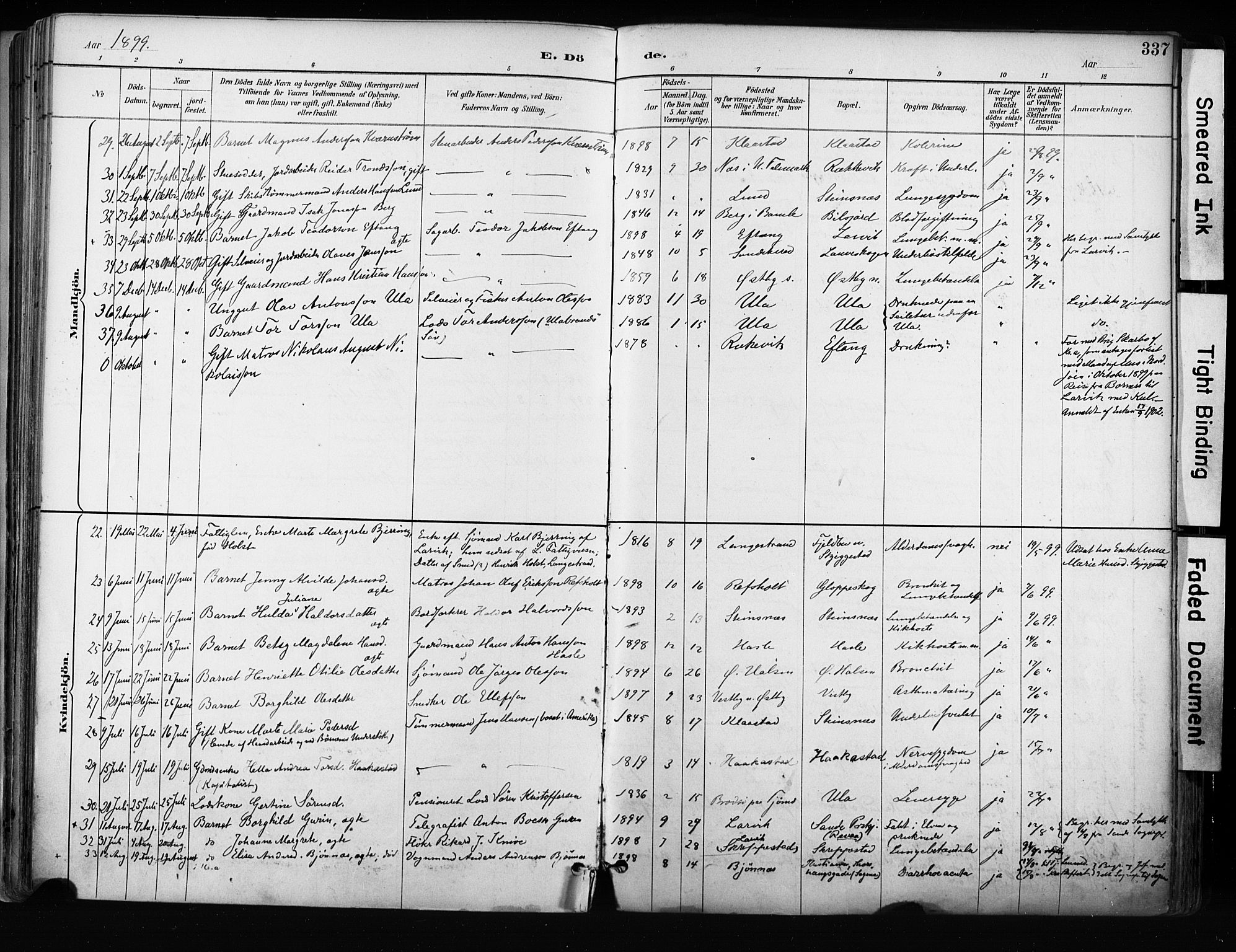 Tjølling kirkebøker, AV/SAKO-A-60/F/Fa/L0009: Parish register (official) no. 9, 1887-1905, p. 337