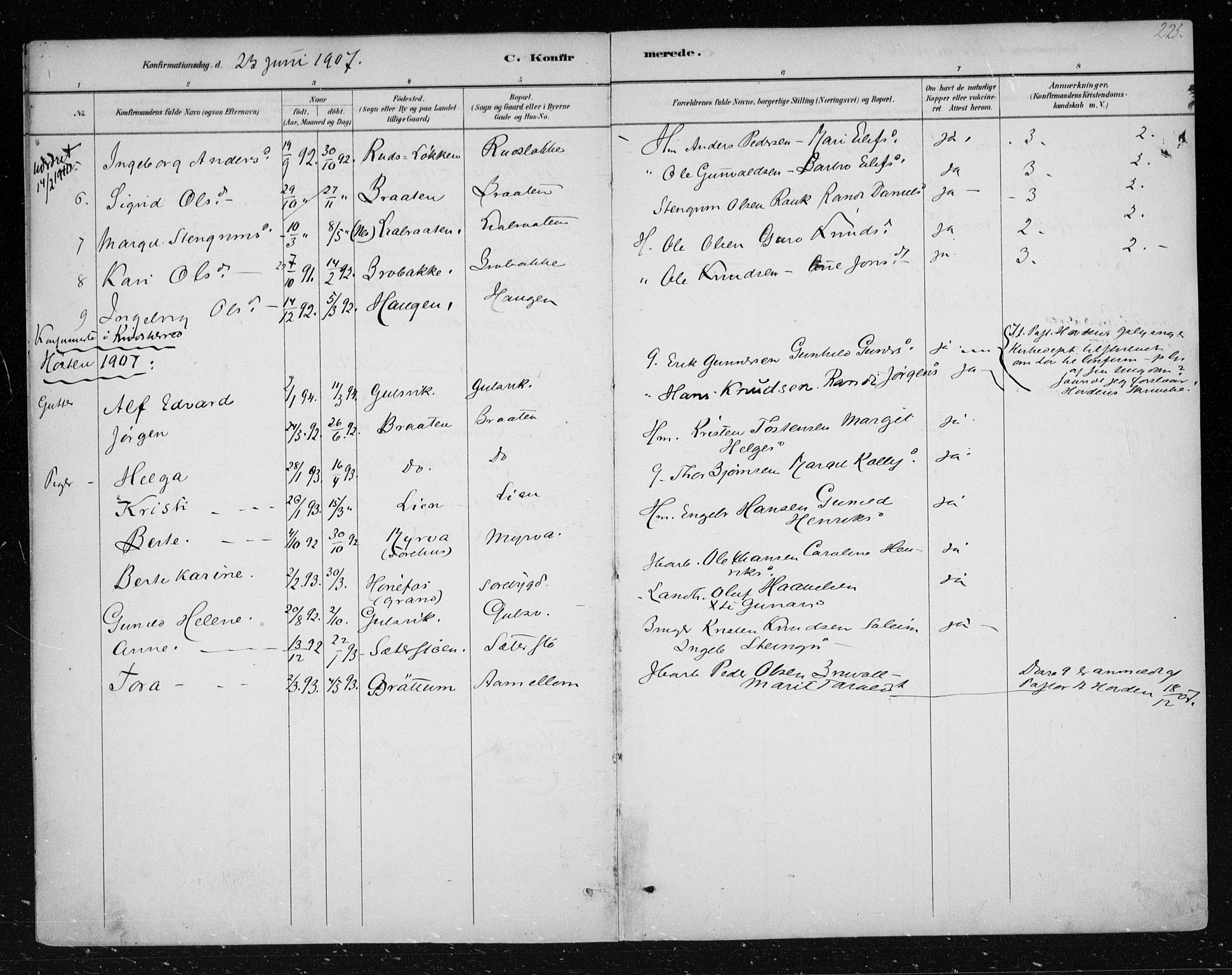 Nes kirkebøker, AV/SAKO-A-236/F/Fa/L0012: Parish register (official) no. 12, 1881-1917, p. 225