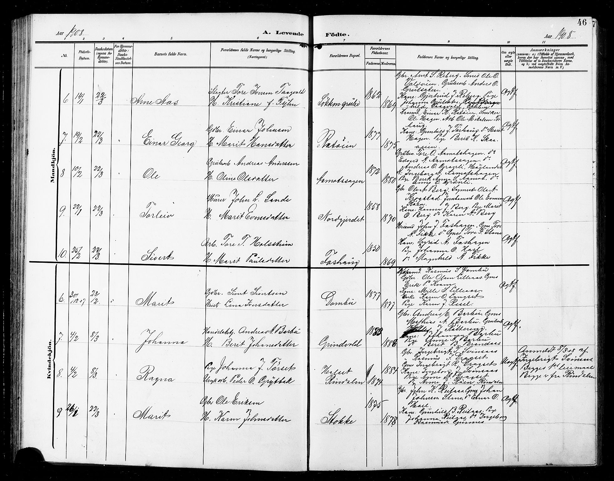 Ministerialprotokoller, klokkerbøker og fødselsregistre - Sør-Trøndelag, SAT/A-1456/672/L0864: Parish register (copy) no. 672C03, 1902-1914, p. 46