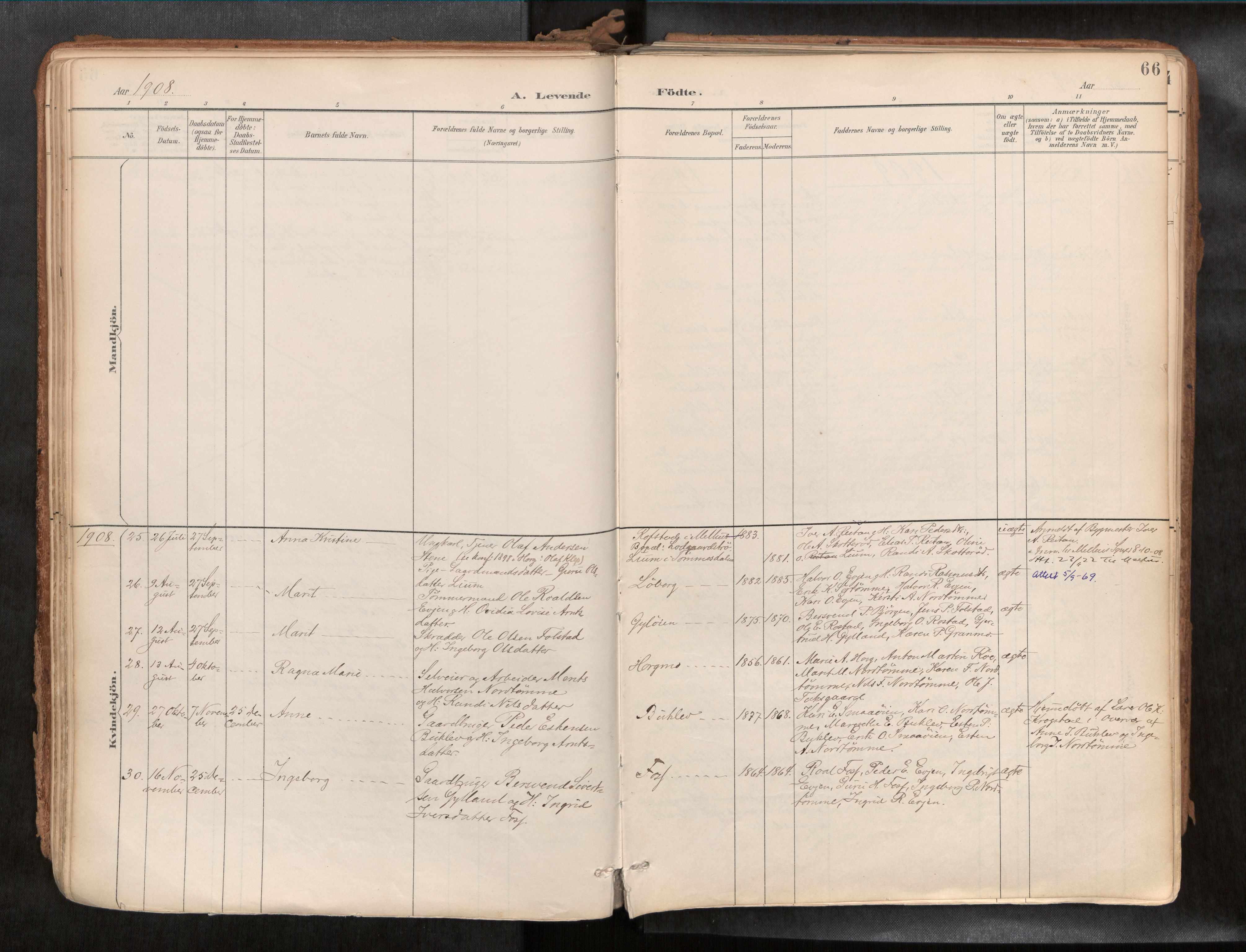 Ministerialprotokoller, klokkerbøker og fødselsregistre - Sør-Trøndelag, AV/SAT-A-1456/692/L1105b: Parish register (official) no. 692A06, 1891-1934, p. 66