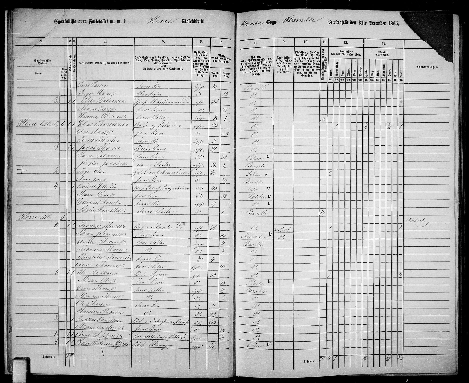RA, 1865 census for Bamble, 1865, p. 22