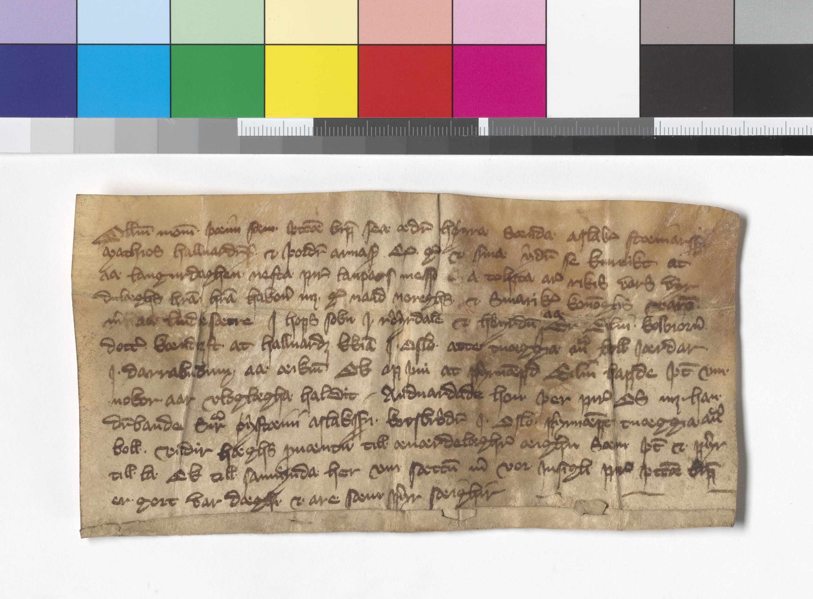 Riksarkivets diplomsamling, AV/RA-EA-5965/F05/L0174: NRA AM fasc. 71 nr. 7 - fasc. 71 nr. 11, 1366-1367, p. 5