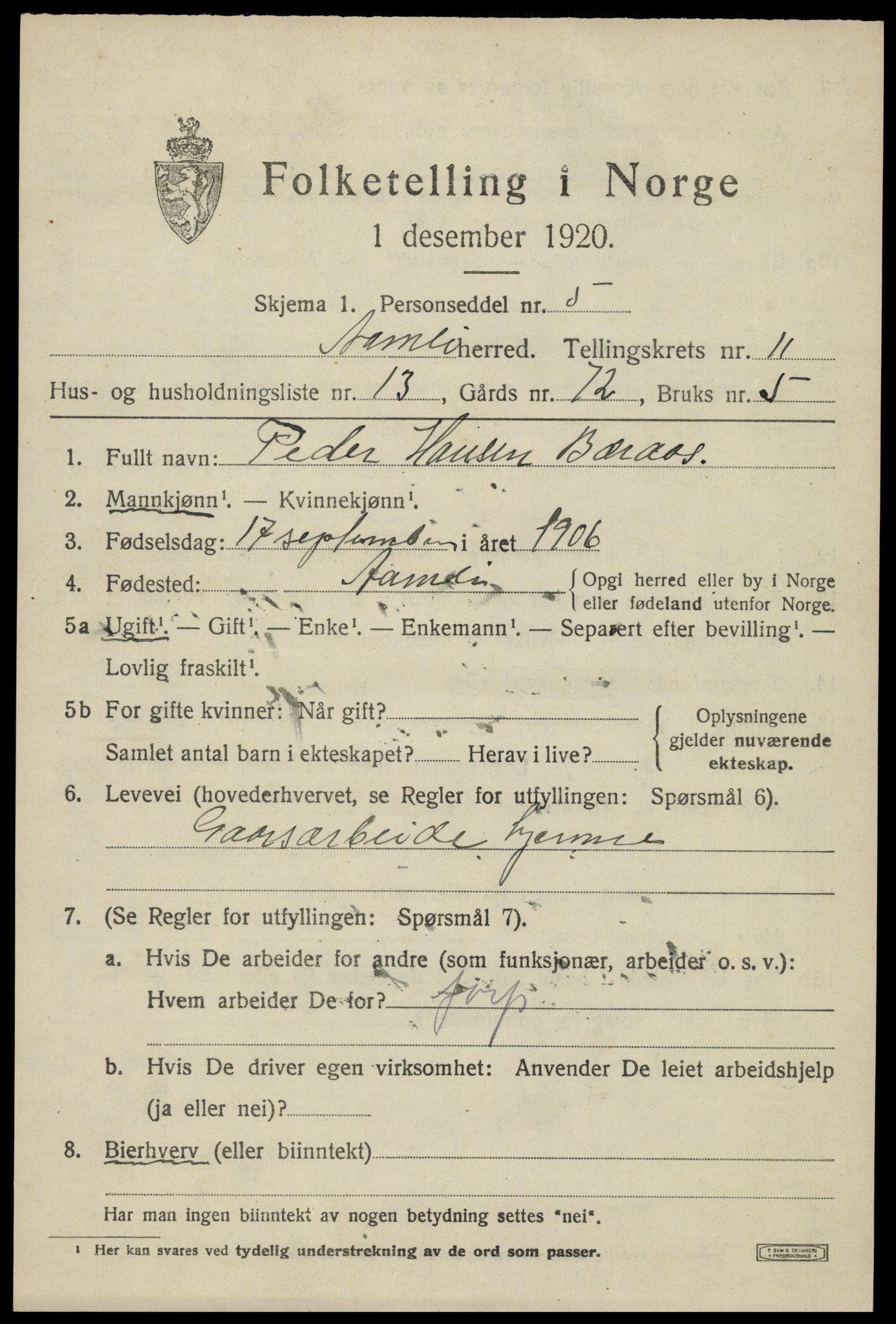 SAK, 1920 census for Åmli, 1920, p. 4363