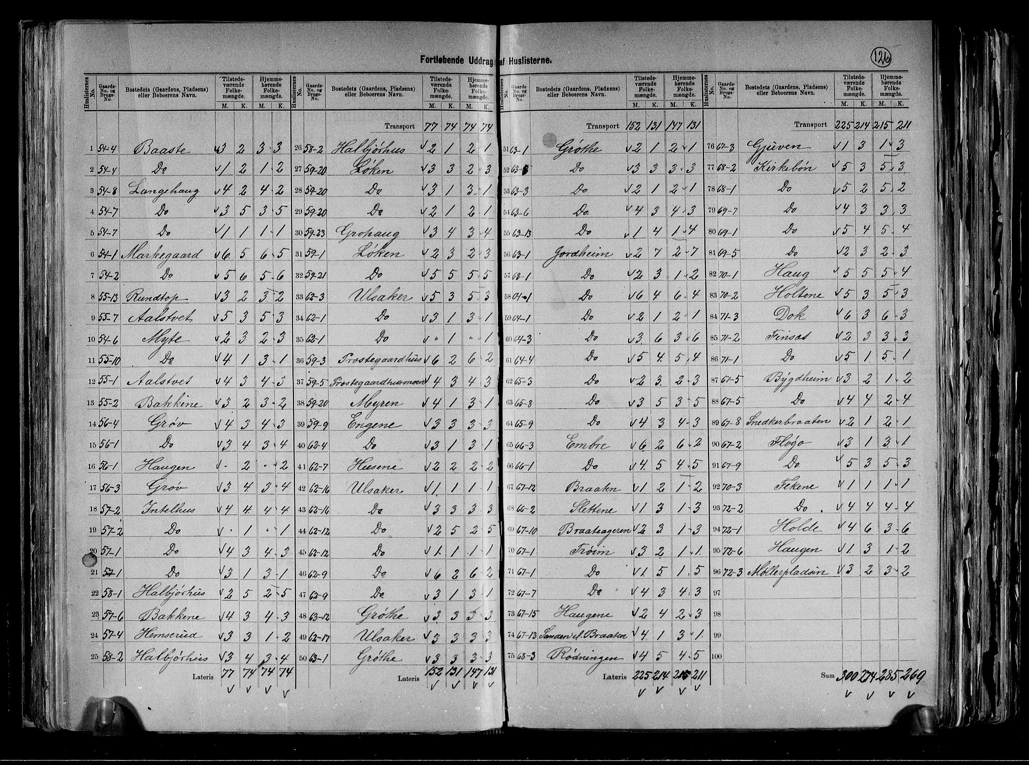 RA, 1891 census for 0617 Gol og Hemsedal, 1891, p. 21