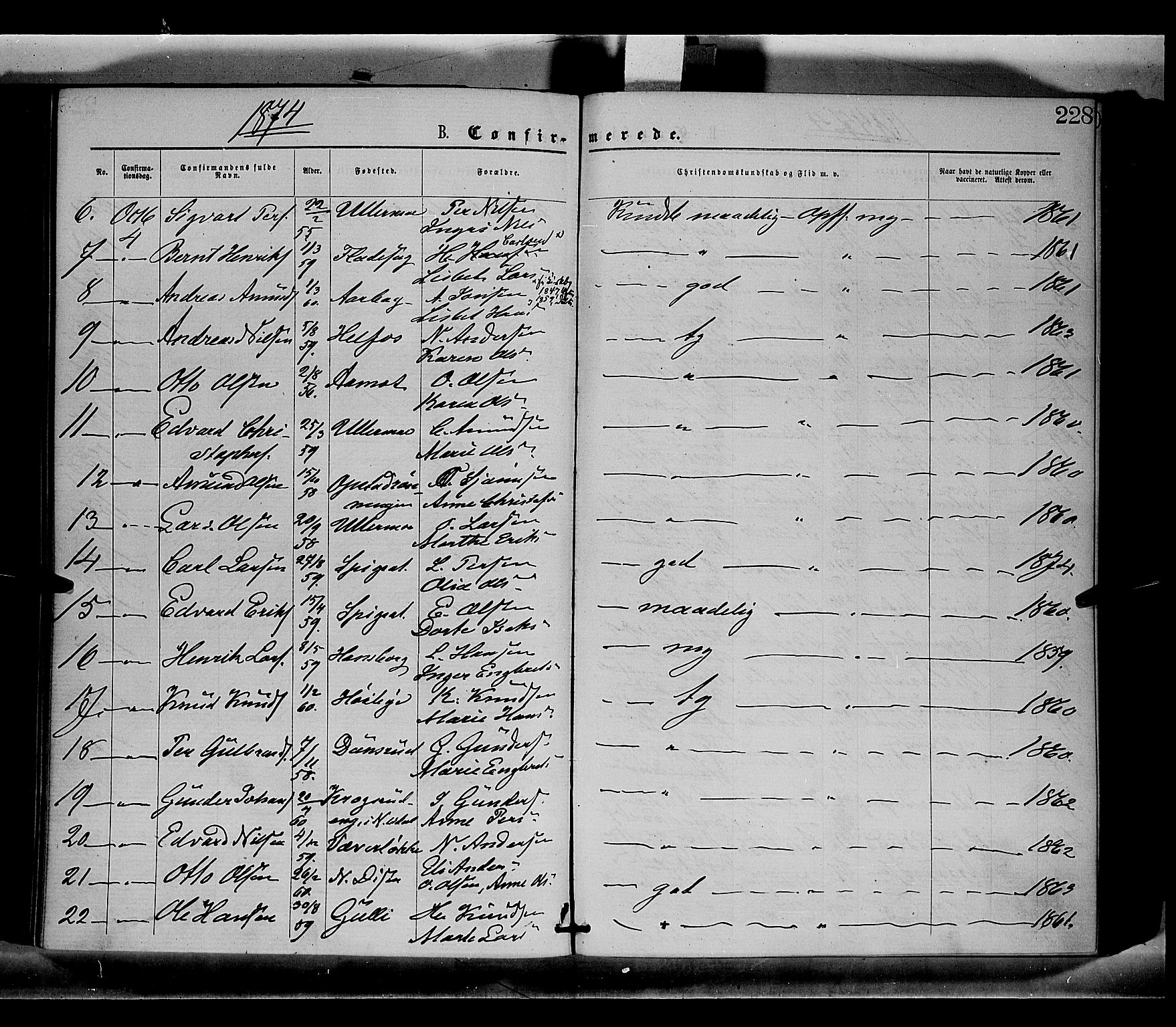 Sør-Odal prestekontor, AV/SAH-PREST-030/H/Ha/Haa/L0004: Parish register (official) no. 4, 1870-1875, p. 228