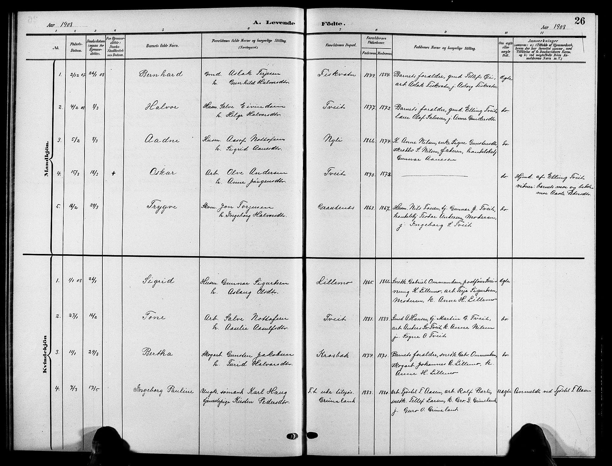 Åmli sokneprestkontor, AV/SAK-1111-0050/F/Fb/Fbc/L0005: Parish register (copy) no. B 5, 1903-1916, p. 26