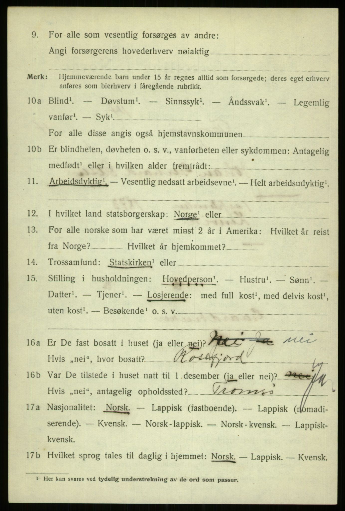 SATØ, 1920 census for Tromsø, 1920, p. 13151